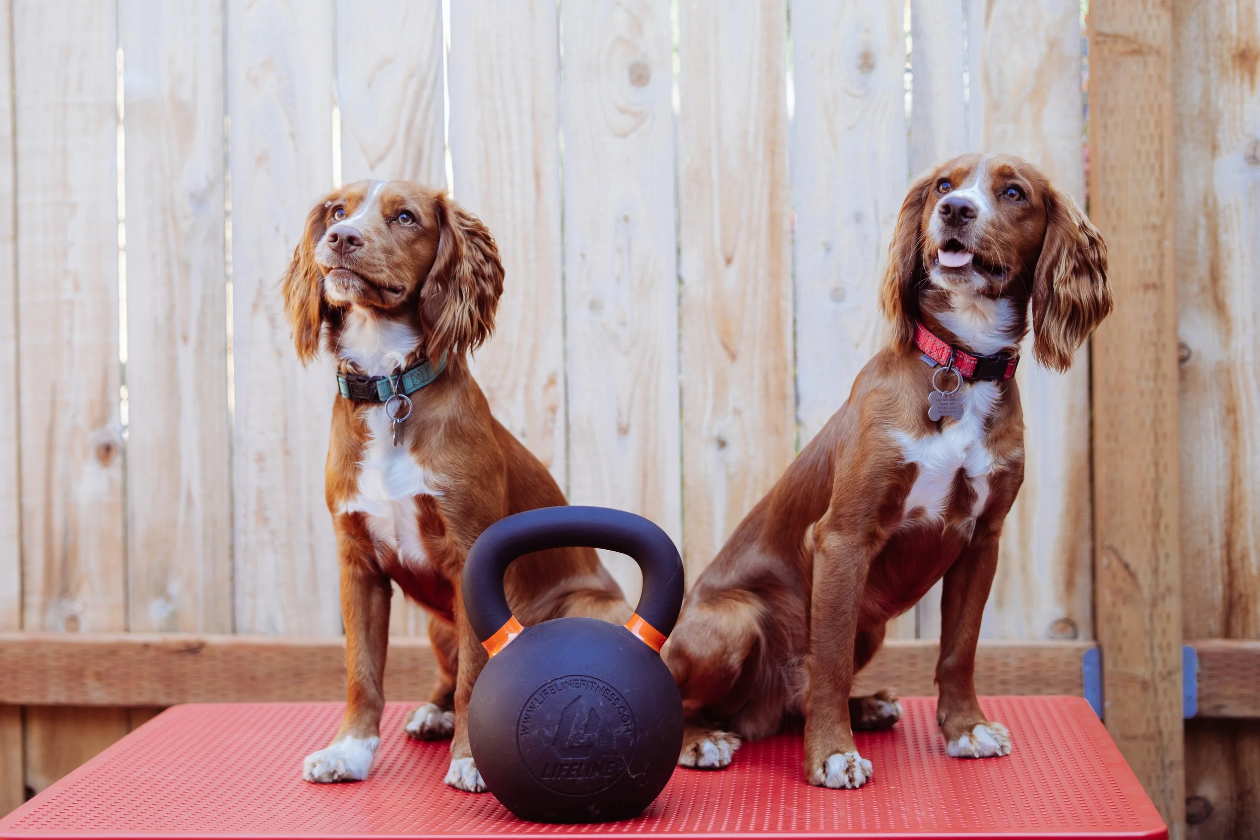 2025 to print-37.jpg