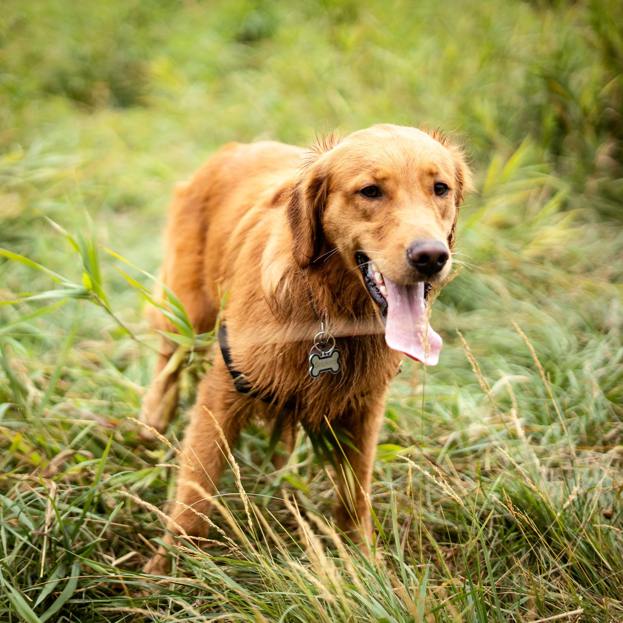 Marymoor Aug 2 2025-20.jpg