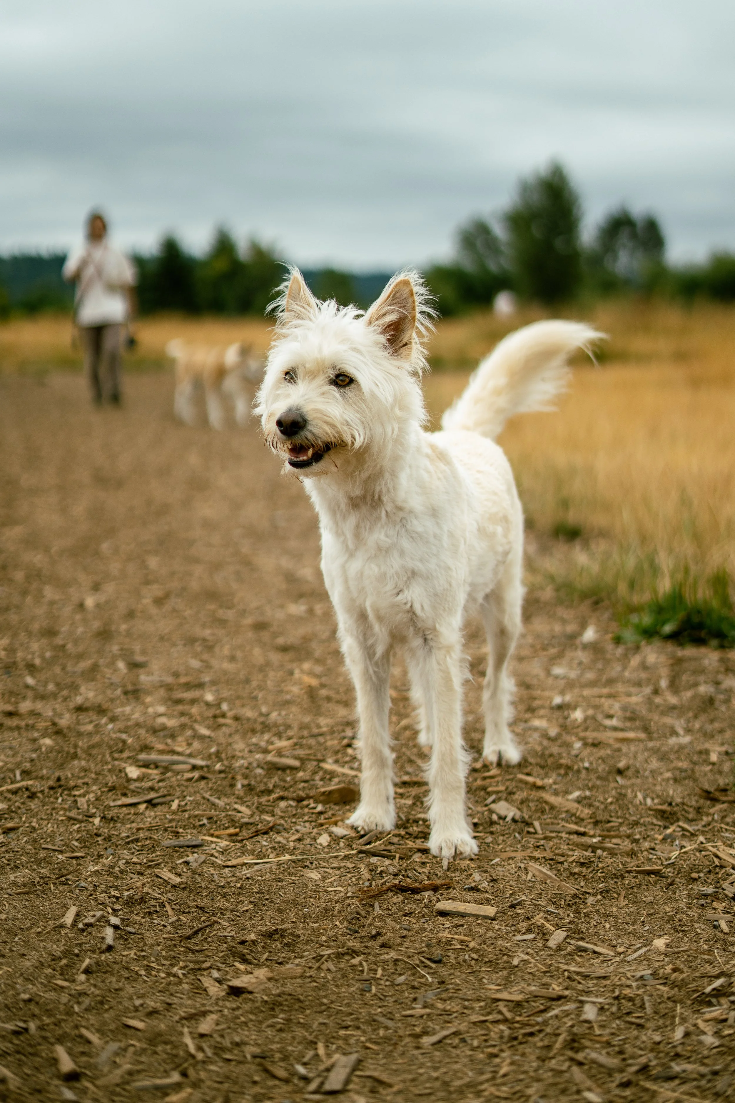 Marymoor Aug 2 2025-09.jpg