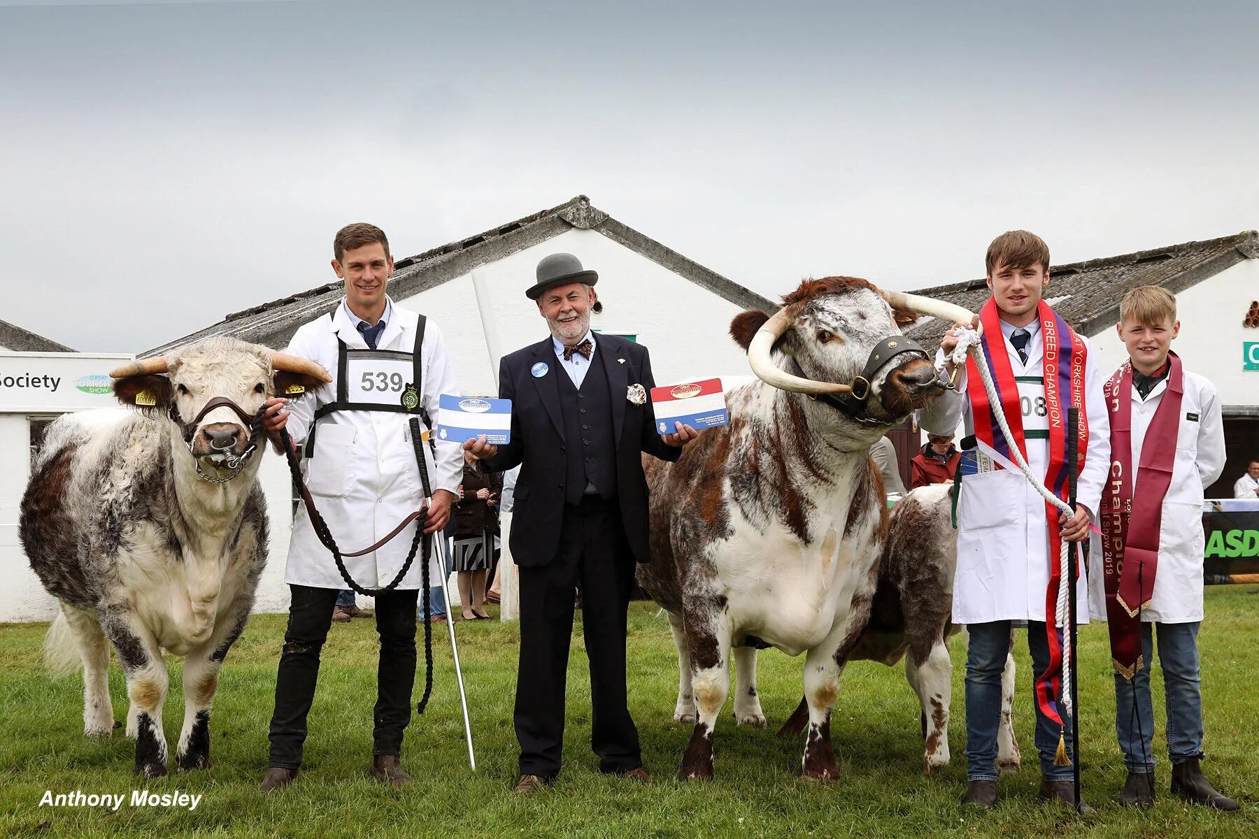 Gentons Sara takes reserve at National Show