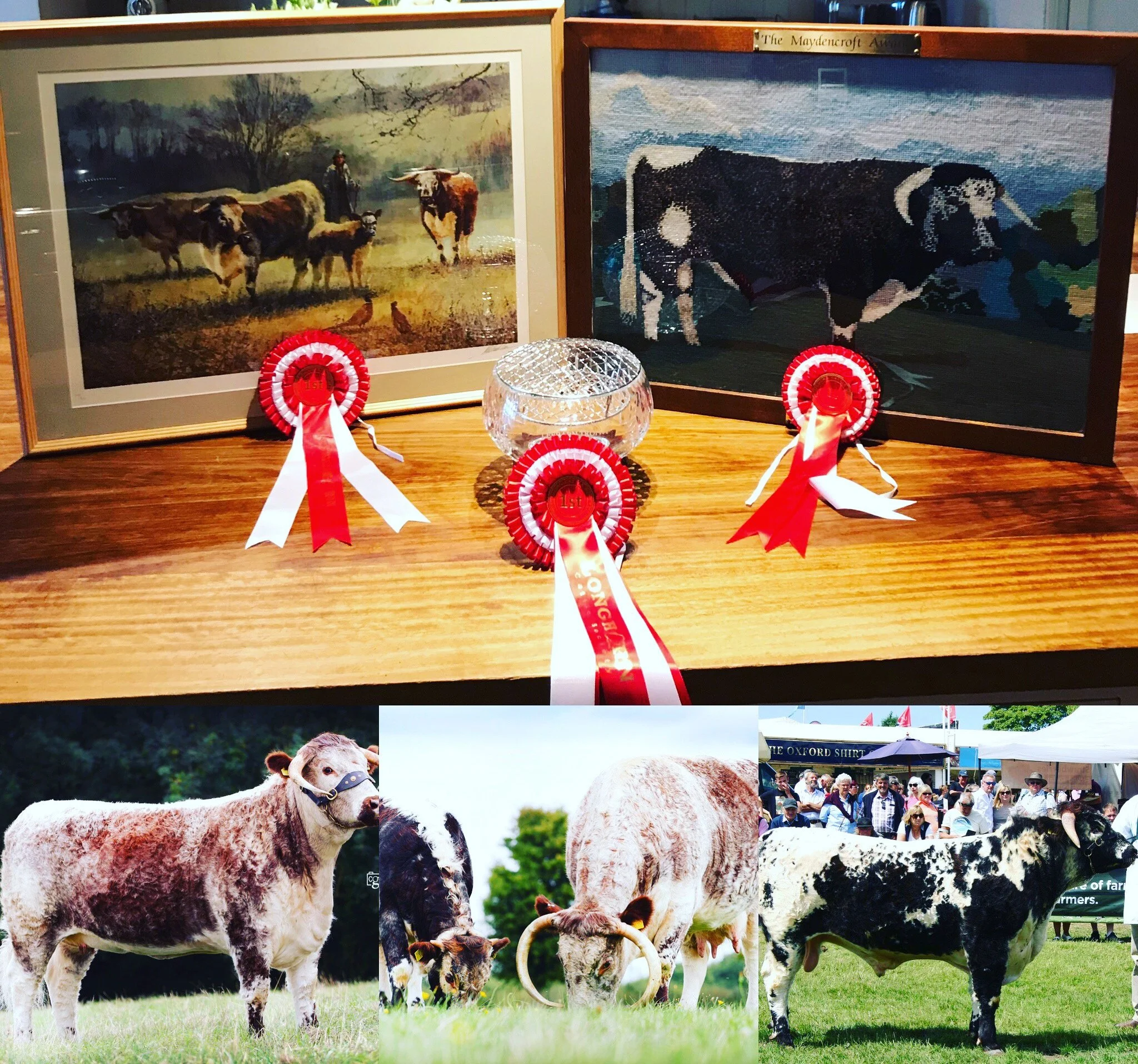 Gentons sweep up awards at Society’s AGM