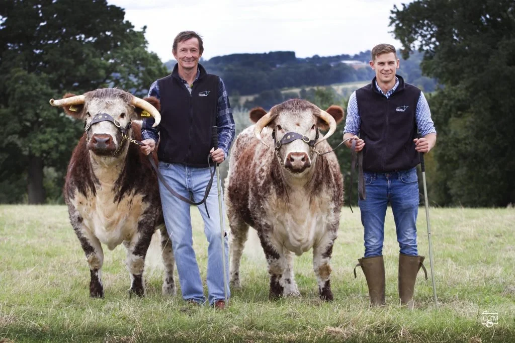 Qasim ends show season on a high at Newbury Show