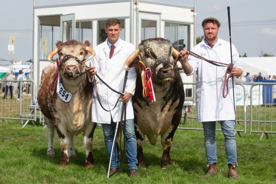 Qasim takes reserve at Moreton in the Marsh&nbsp;