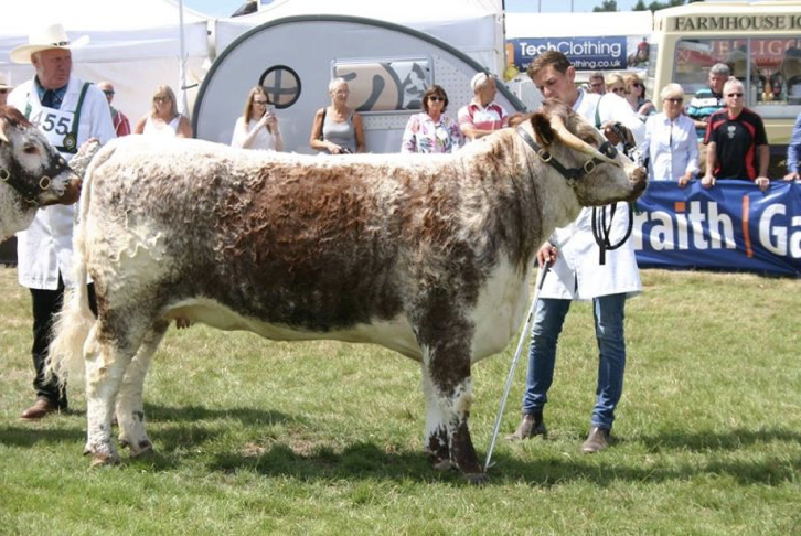Reserve breed championship success at Great Yorkshire