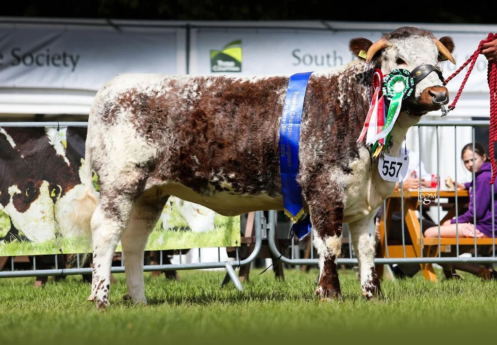 Gentons Pedigrees shine at Royal Three Counties 2026