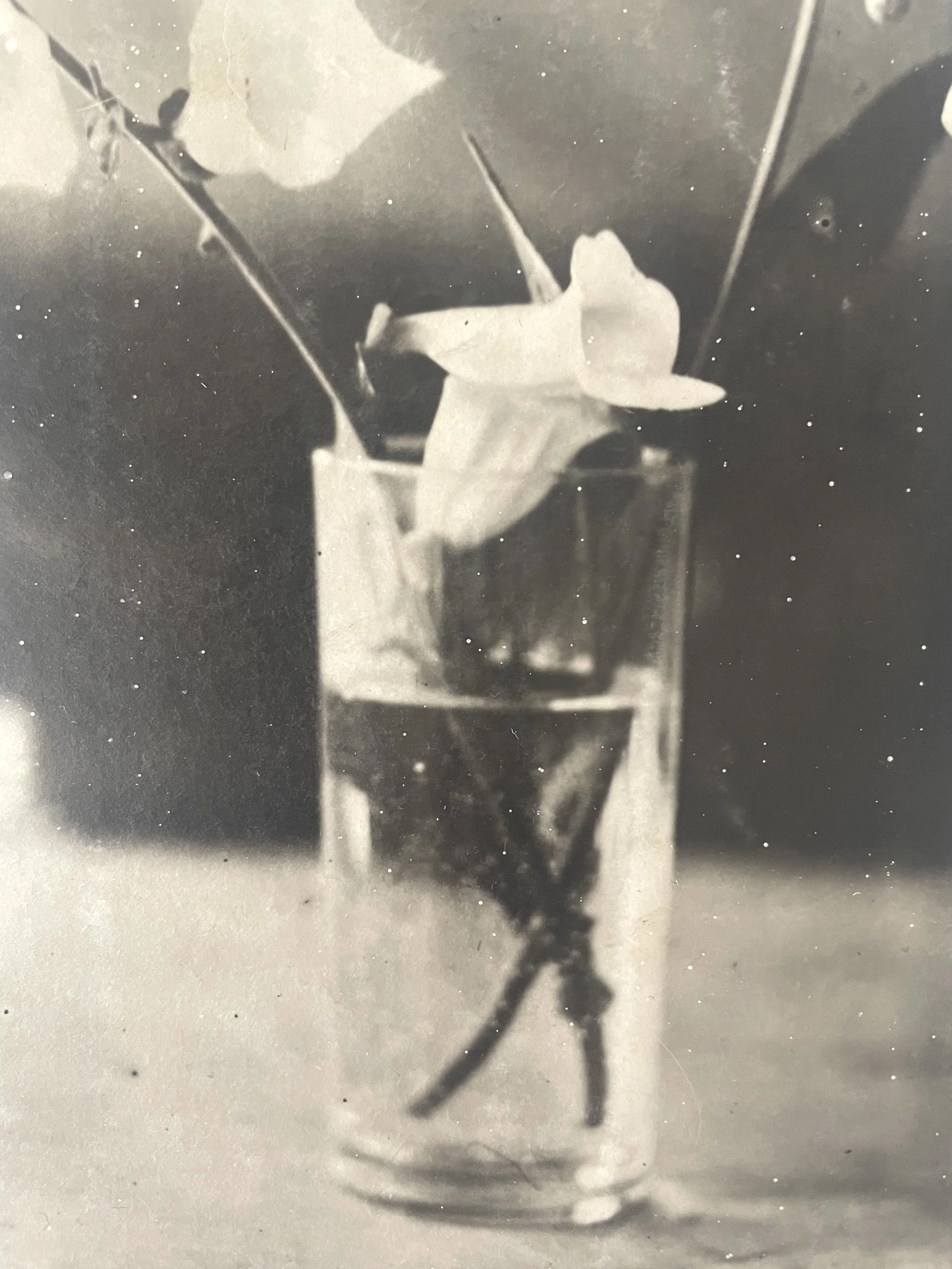 foxglove 4 detail copy.JPG