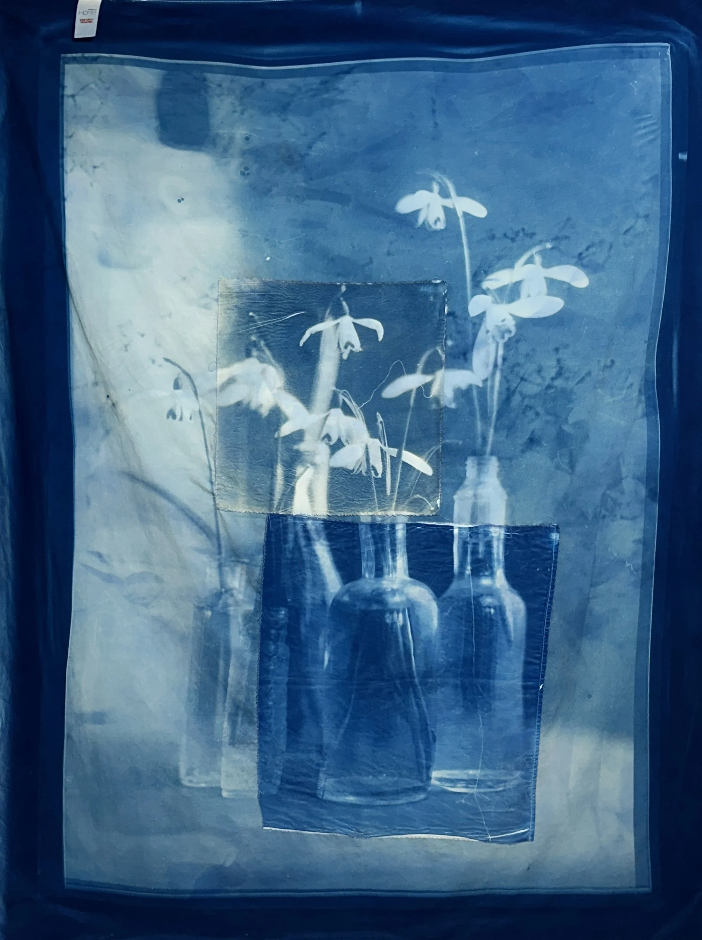 Vanitas 5 (snowdrops) 2025