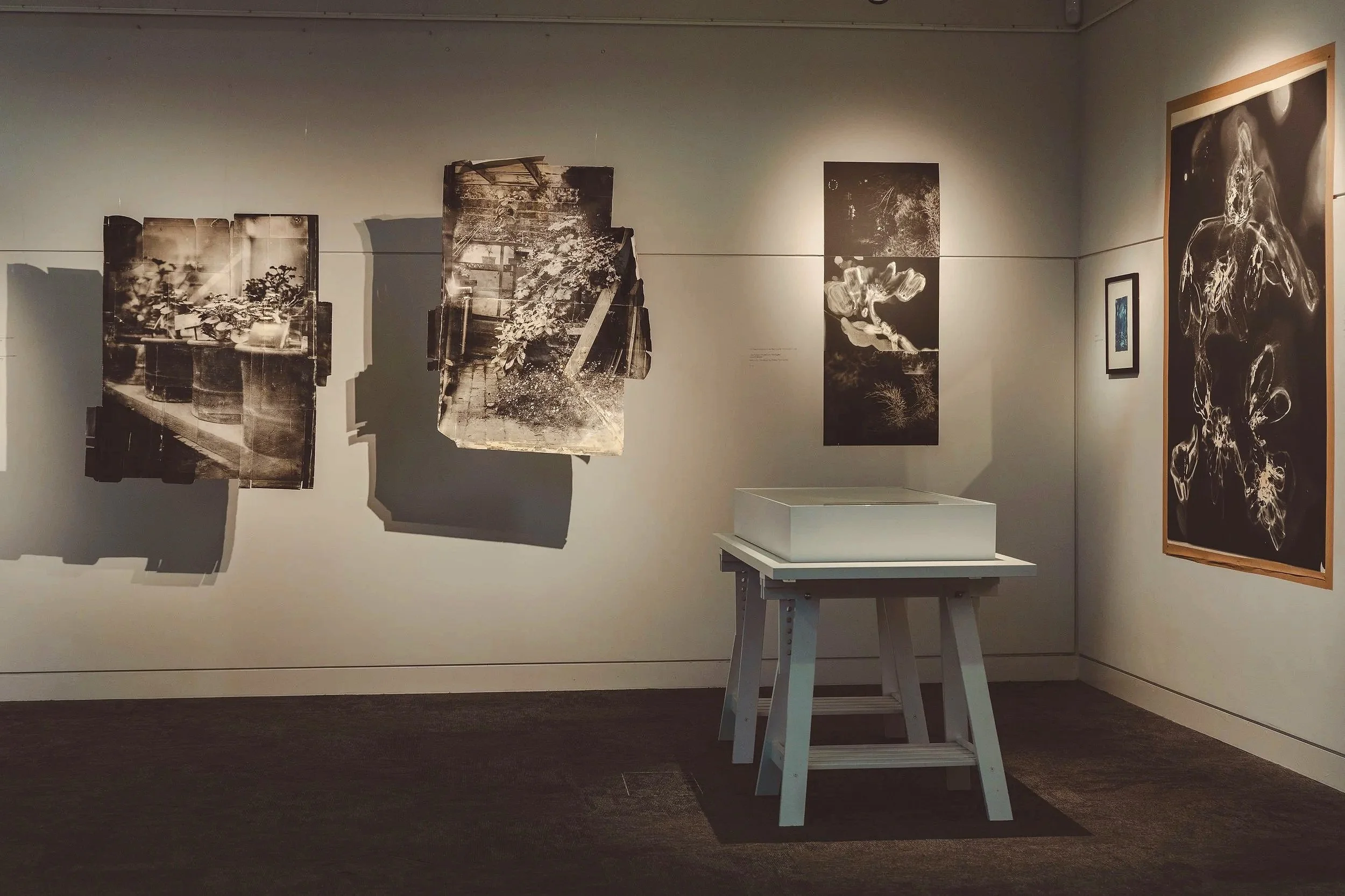 Eileen White_The Arc Winchester Photo Seamus Flanagan3.jpg