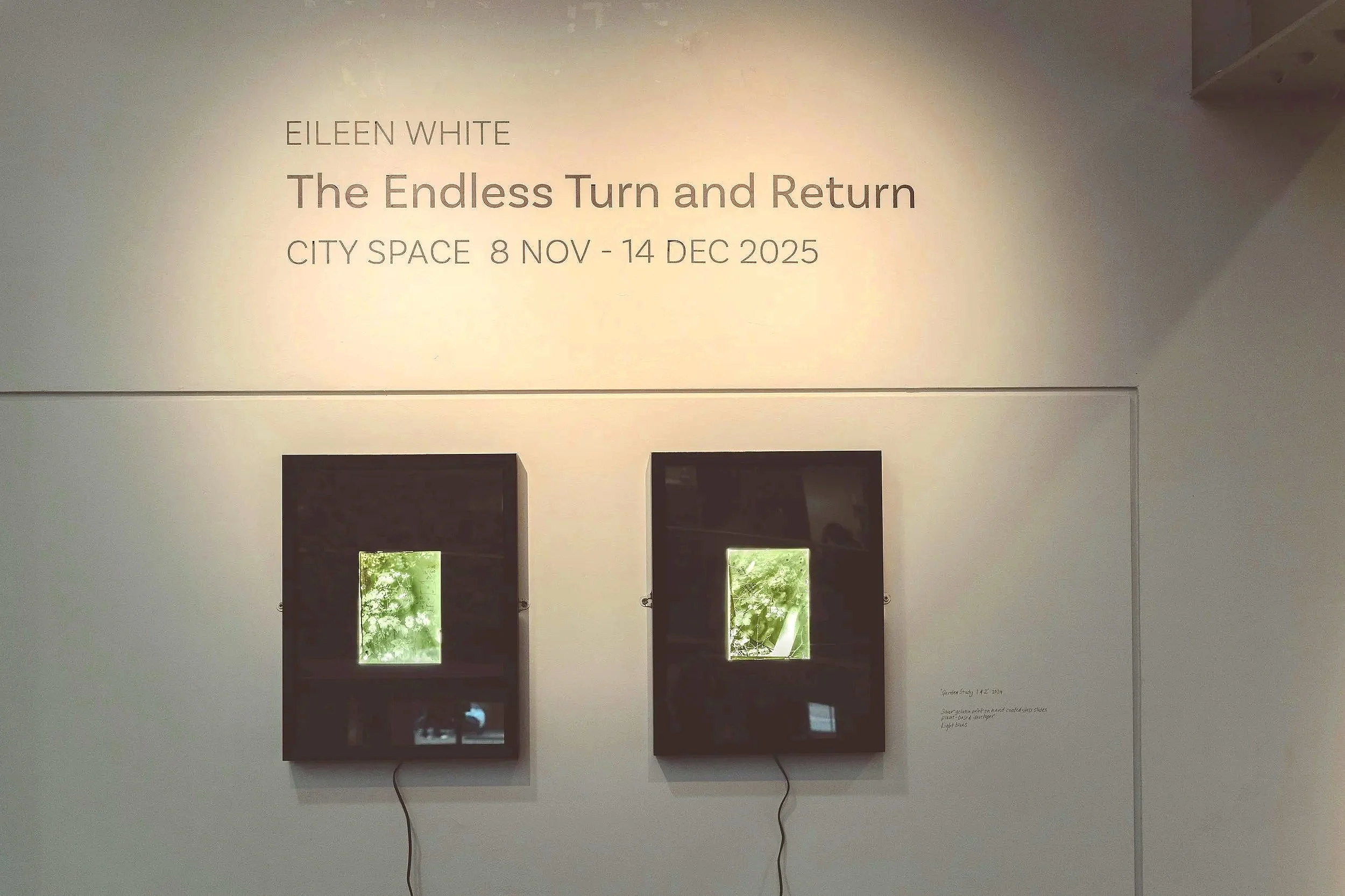 Eileen White_The Arc Winchester Photo Seamus Flanagan2.jpg