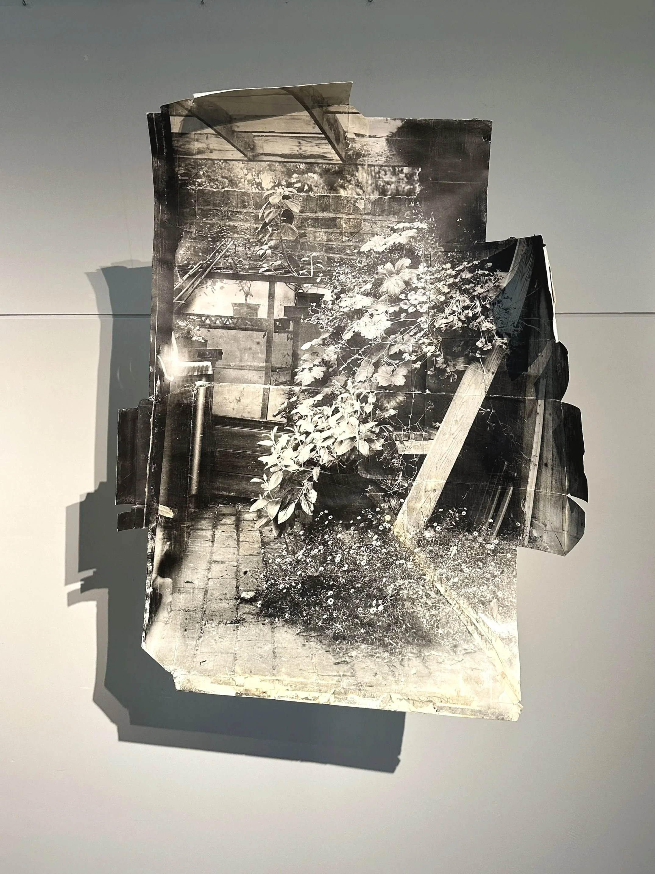 'Transmutation'  2023
Collaged Silver Gelatin Prints, plant developer, waste packaging. 120 x 94 cm                                        Image: Seamus Flannigan