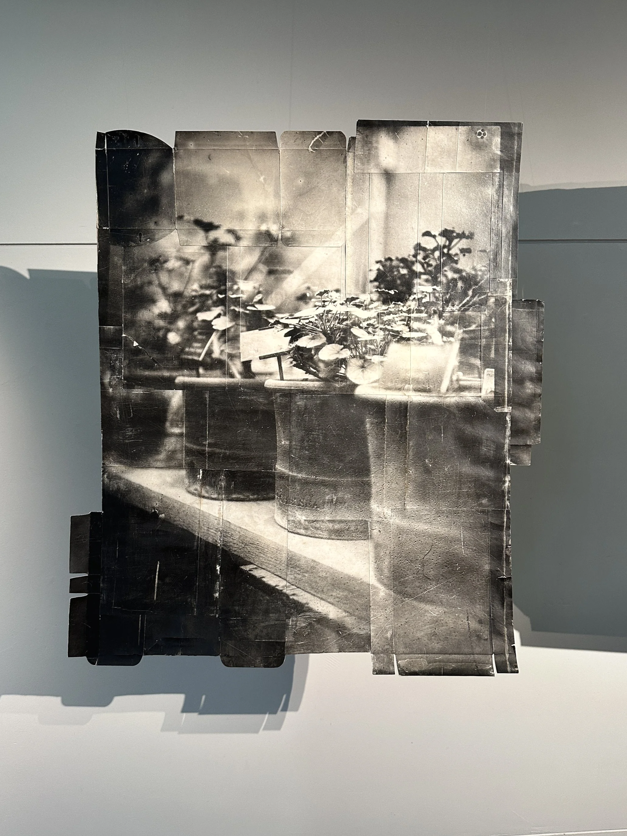 'Propagation' 2023. 
Collaged Silver Gelatin Prints, plant developer, waste packaging. 116 x 98 cm                                                   Image: Seamus Flannigan