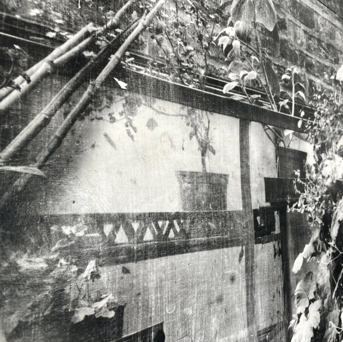 black and white image of shelf with a plantpot, looks dreamy