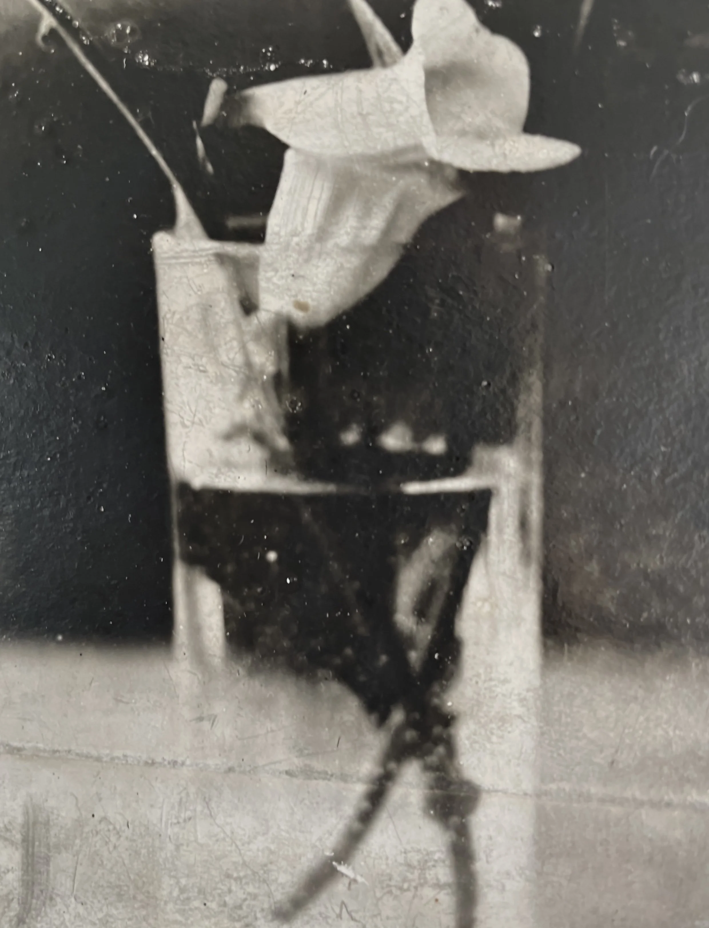 eileen white:foxglove 4 detail  copy.jpg