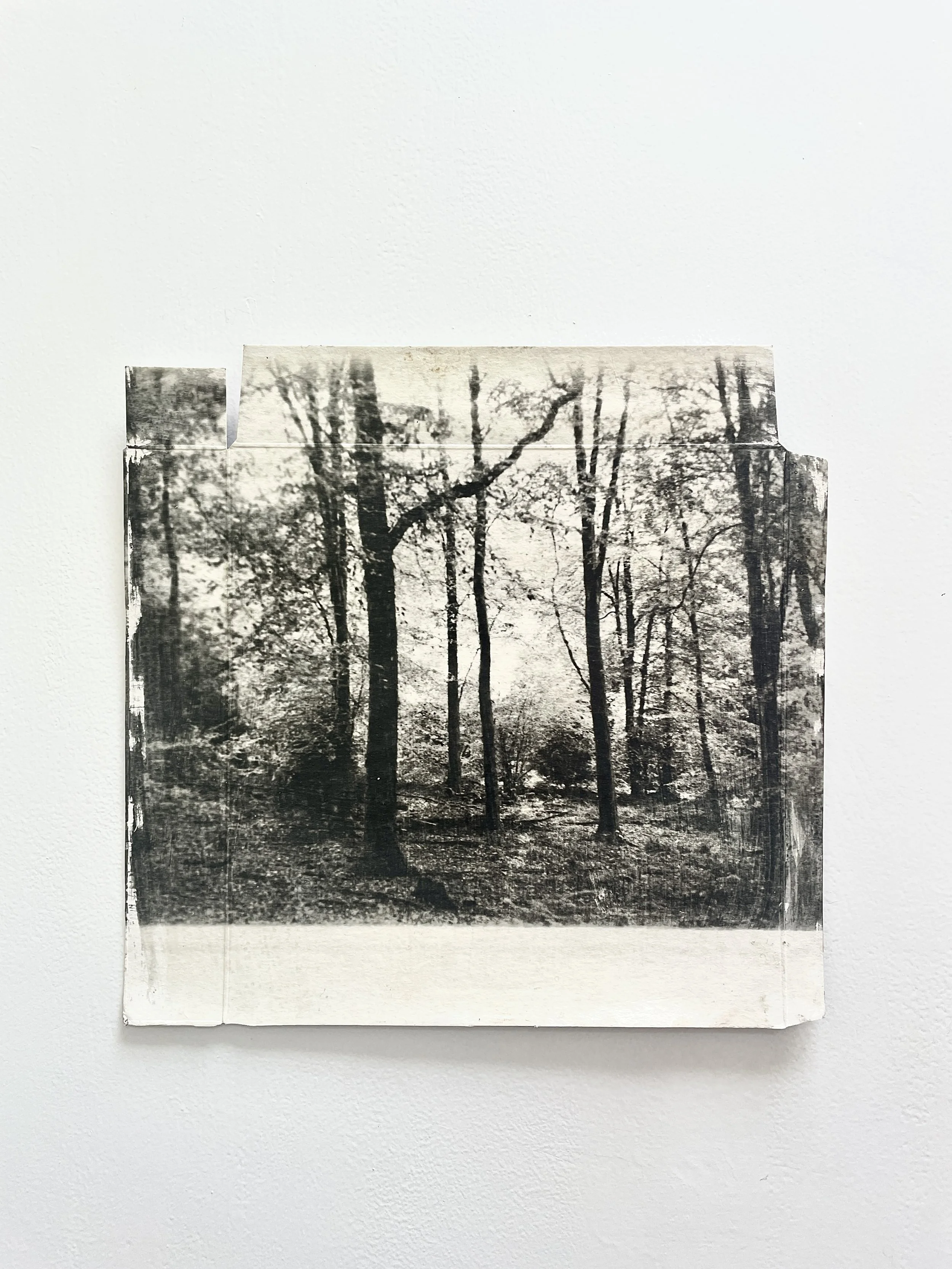 crab wood 3 copy.jpg