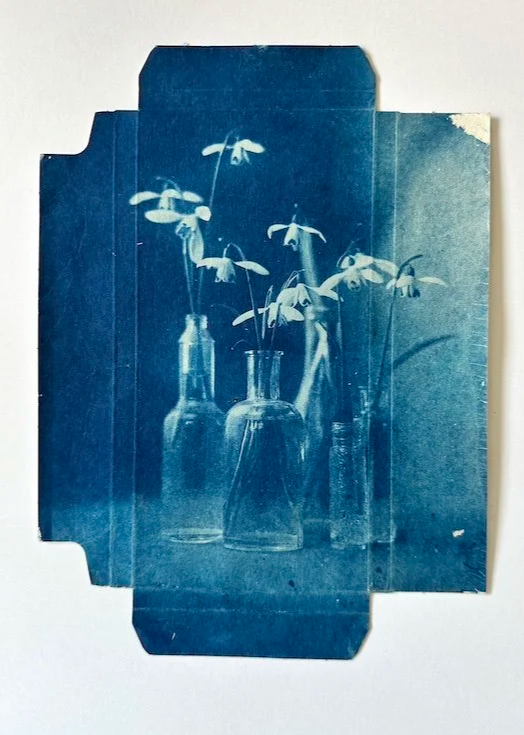 cyanotype+print+on+recycled+packaging%3Asd%3Aew%3A24%3A21+x+17+cm+copy.png