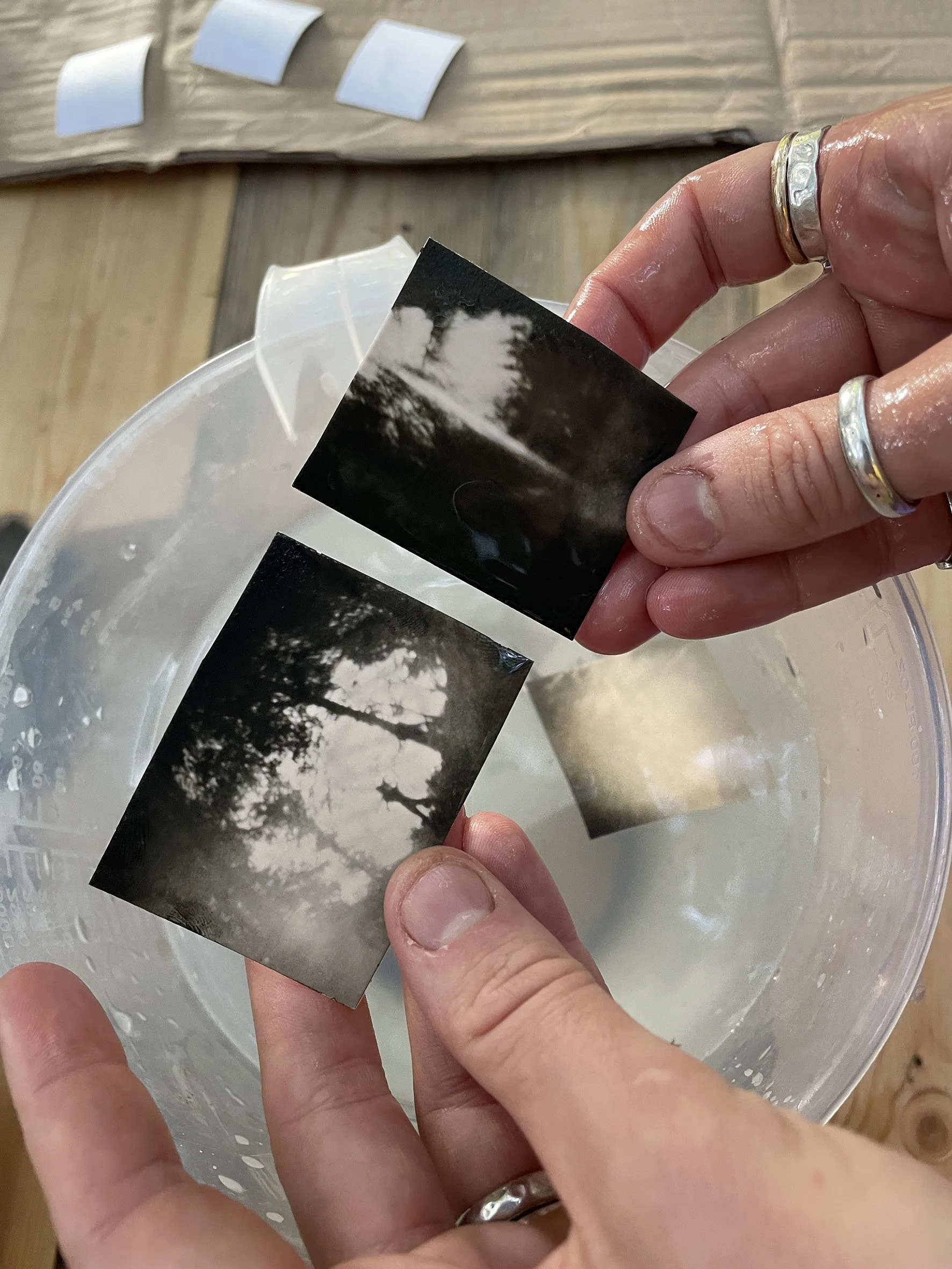 miniature pinhole photographs being held over a bowl of waer showing forest scenes.