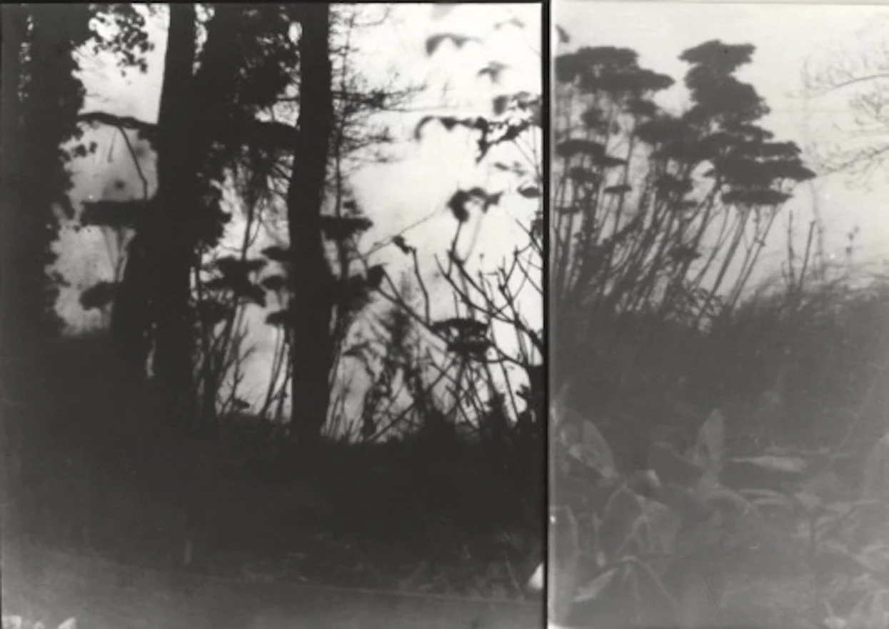 sidelines size? .jpeg