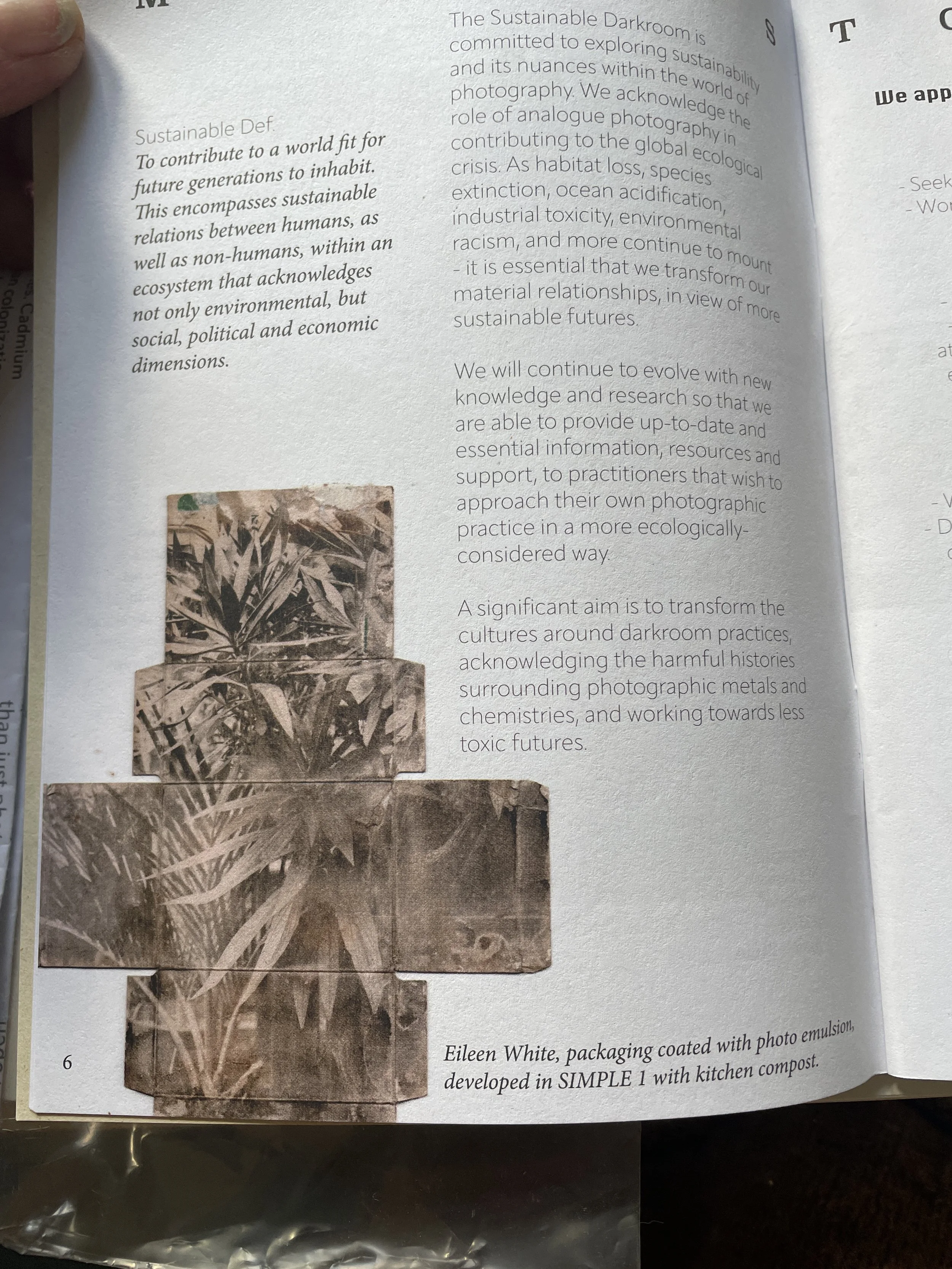 Back to Basics A Guide to Ecological Photochemistry, print on consumer waste packaging using food waste developer.JPG