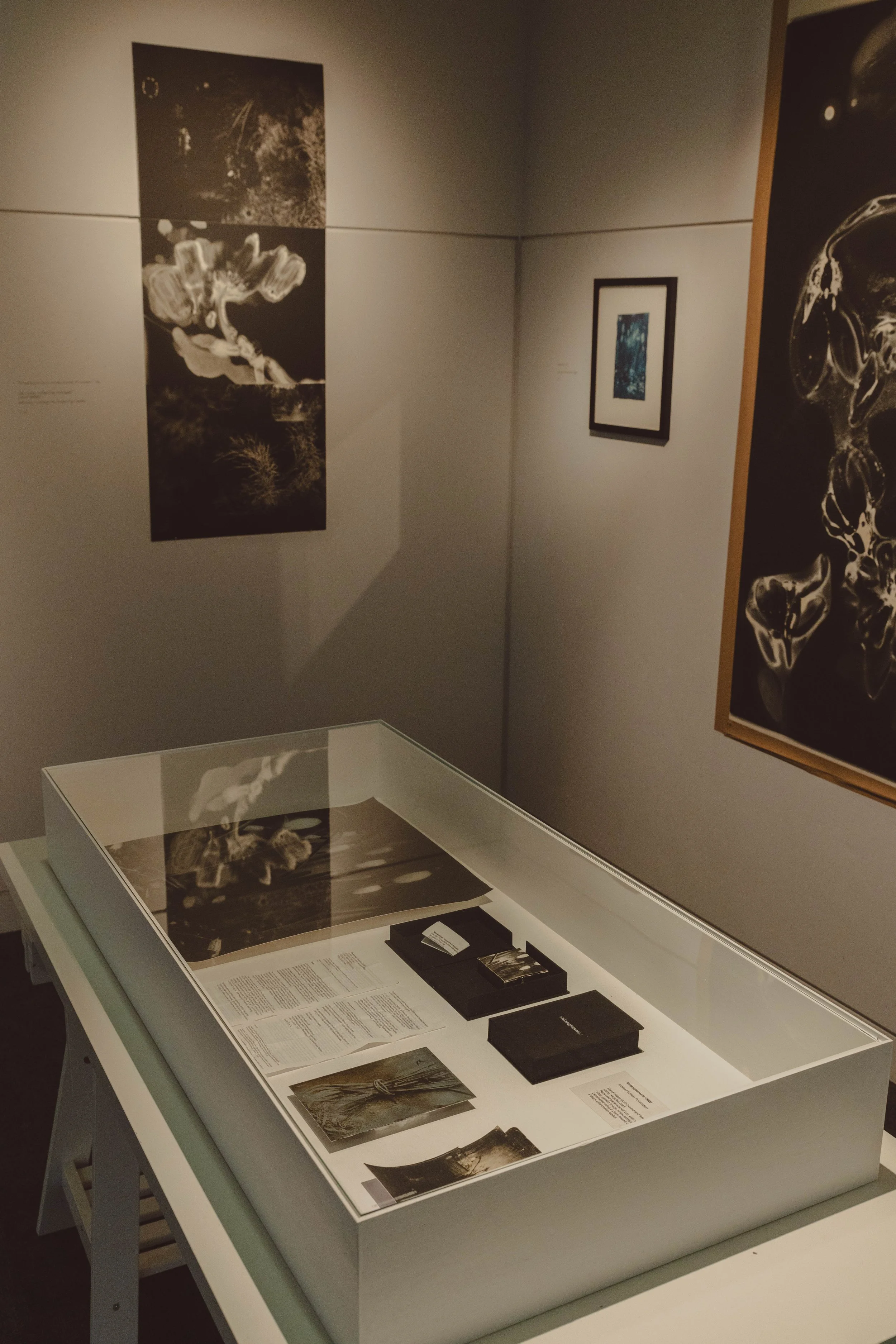 vitrine showing open books and prints all black and white in a gallery setting