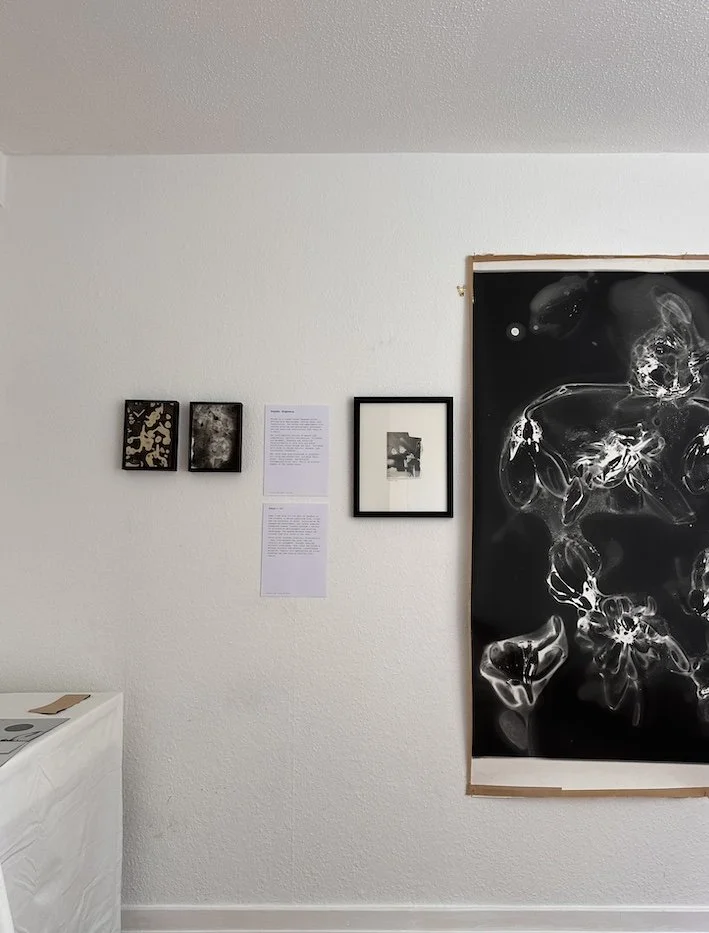 large and small black and white photographs on a wall with text abstract images and image of a foxglove