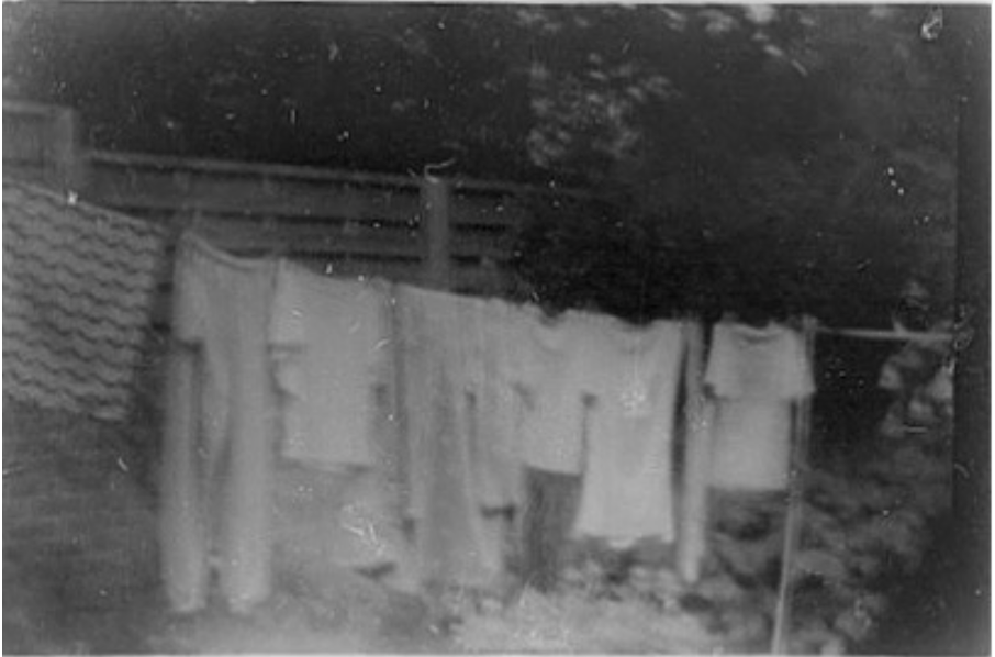 covid washing line, silver gelatin pinhole photograph, compost developer.png