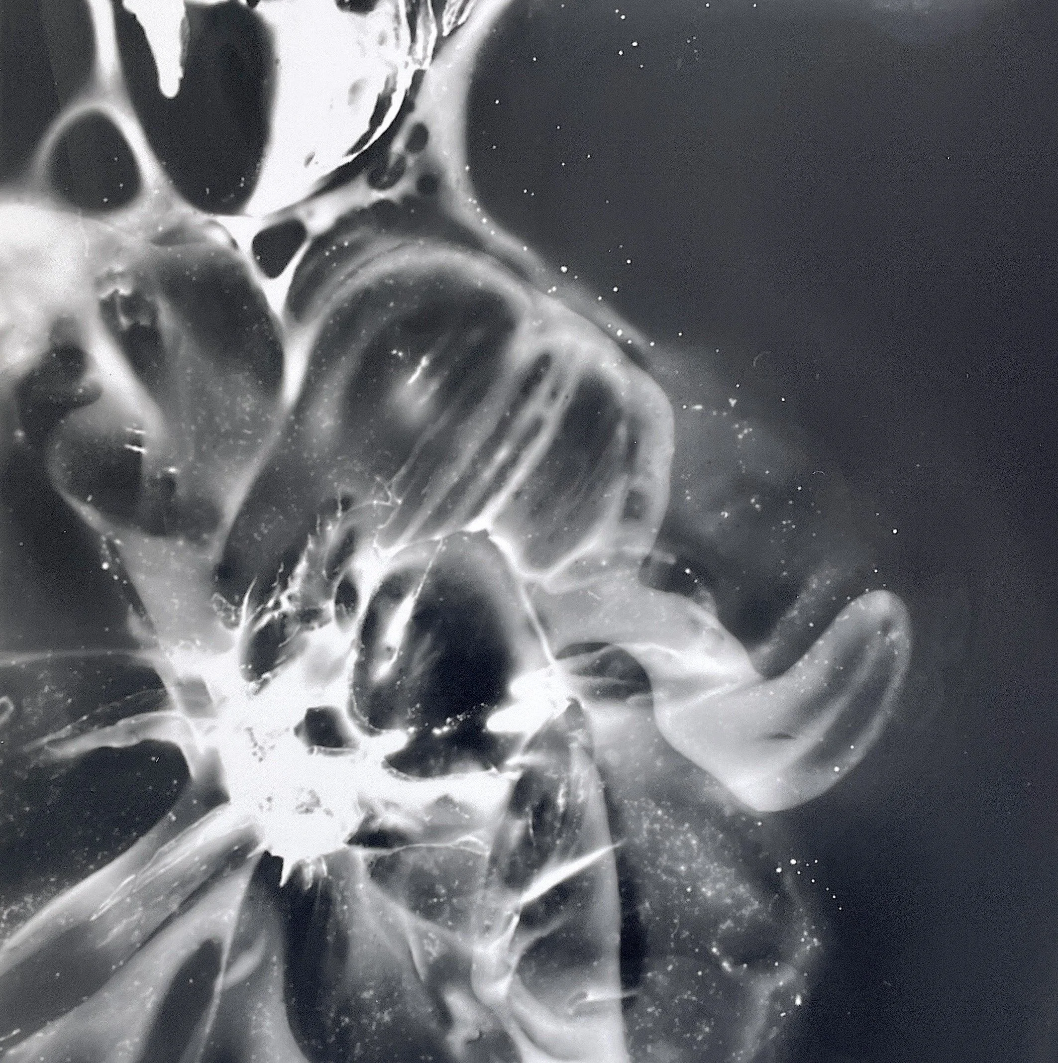 abstract lblack and white image of a cerll like construction 