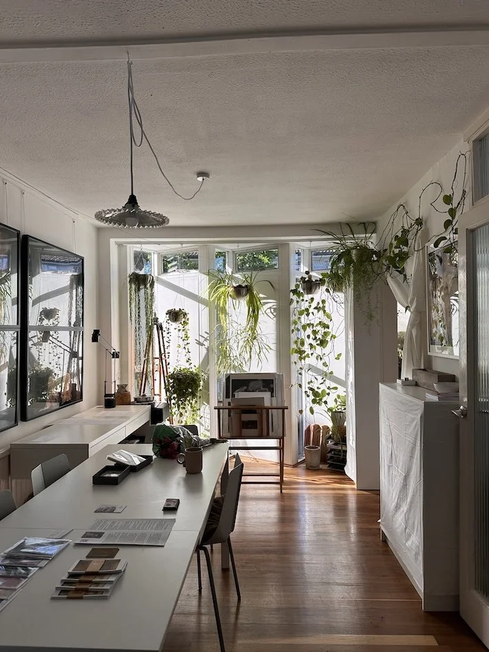 image of a light and plant filled space with photographic artworks
