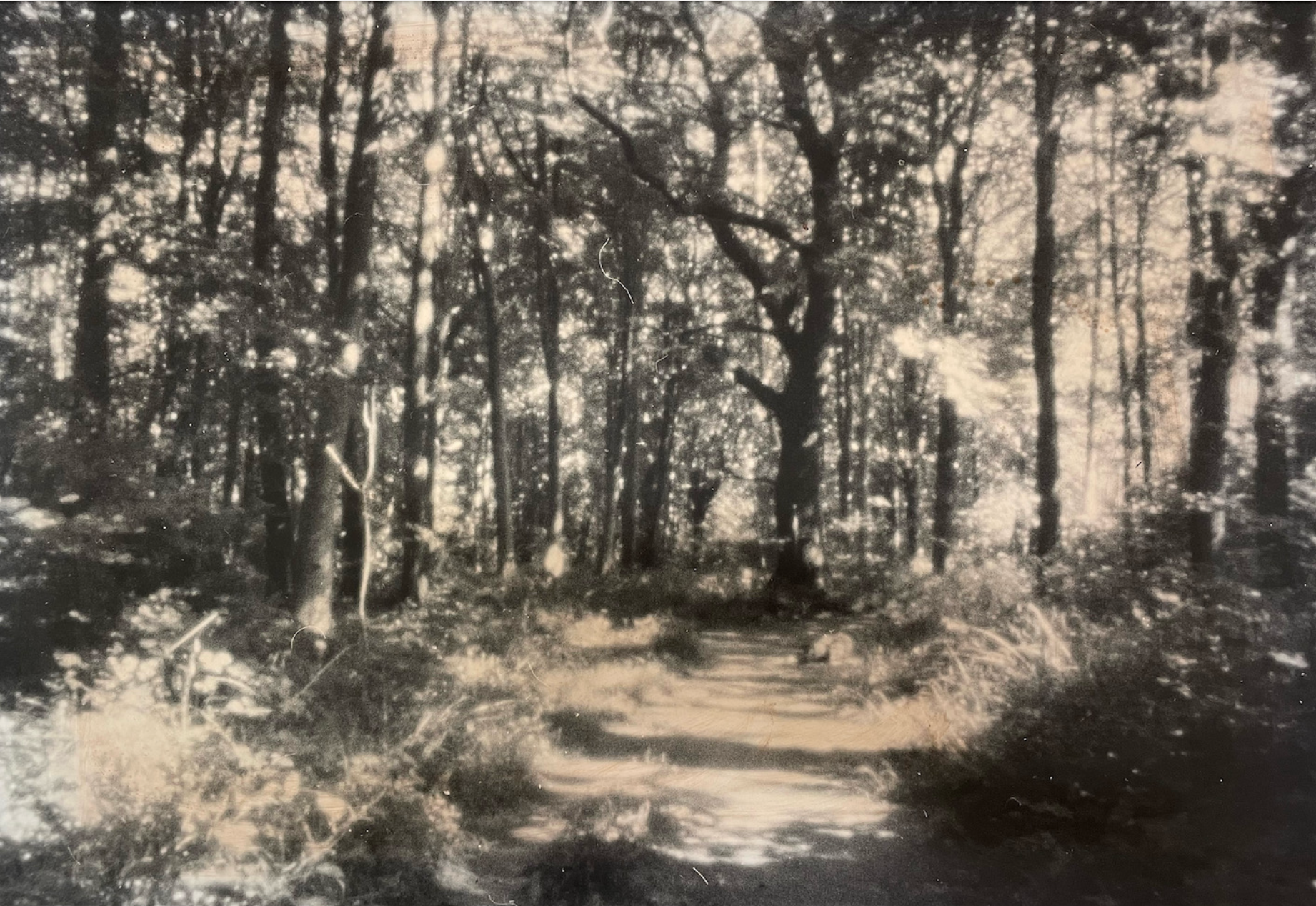 Screenshot 2025-11-10 at 21.52.22 copy.png