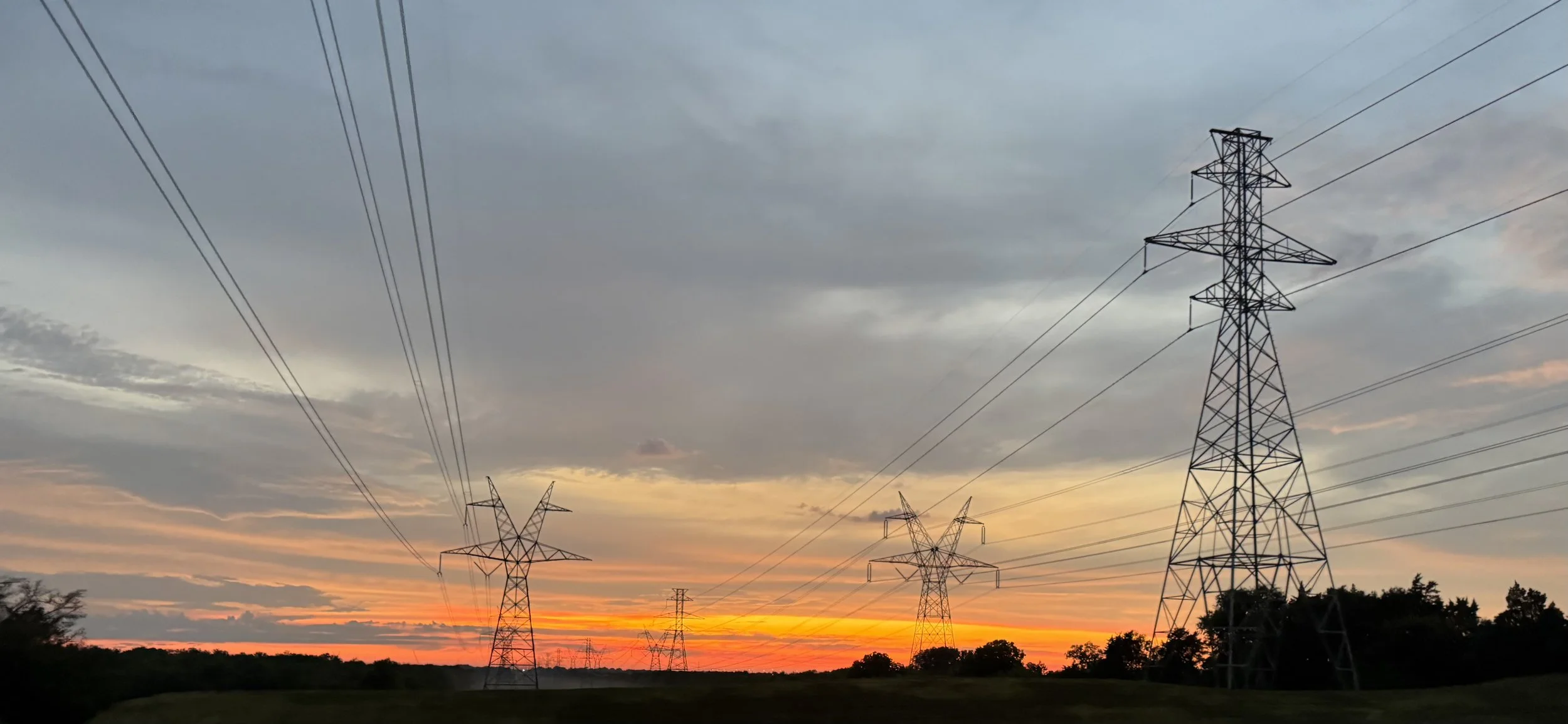 Vegetation Management