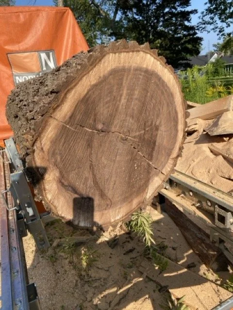 Planning the cut to get maximum true quarter cut grain