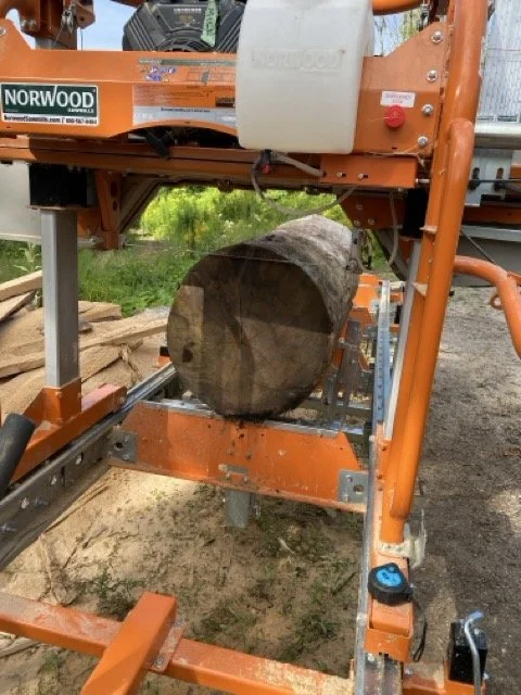 The Wood Harvesting Process