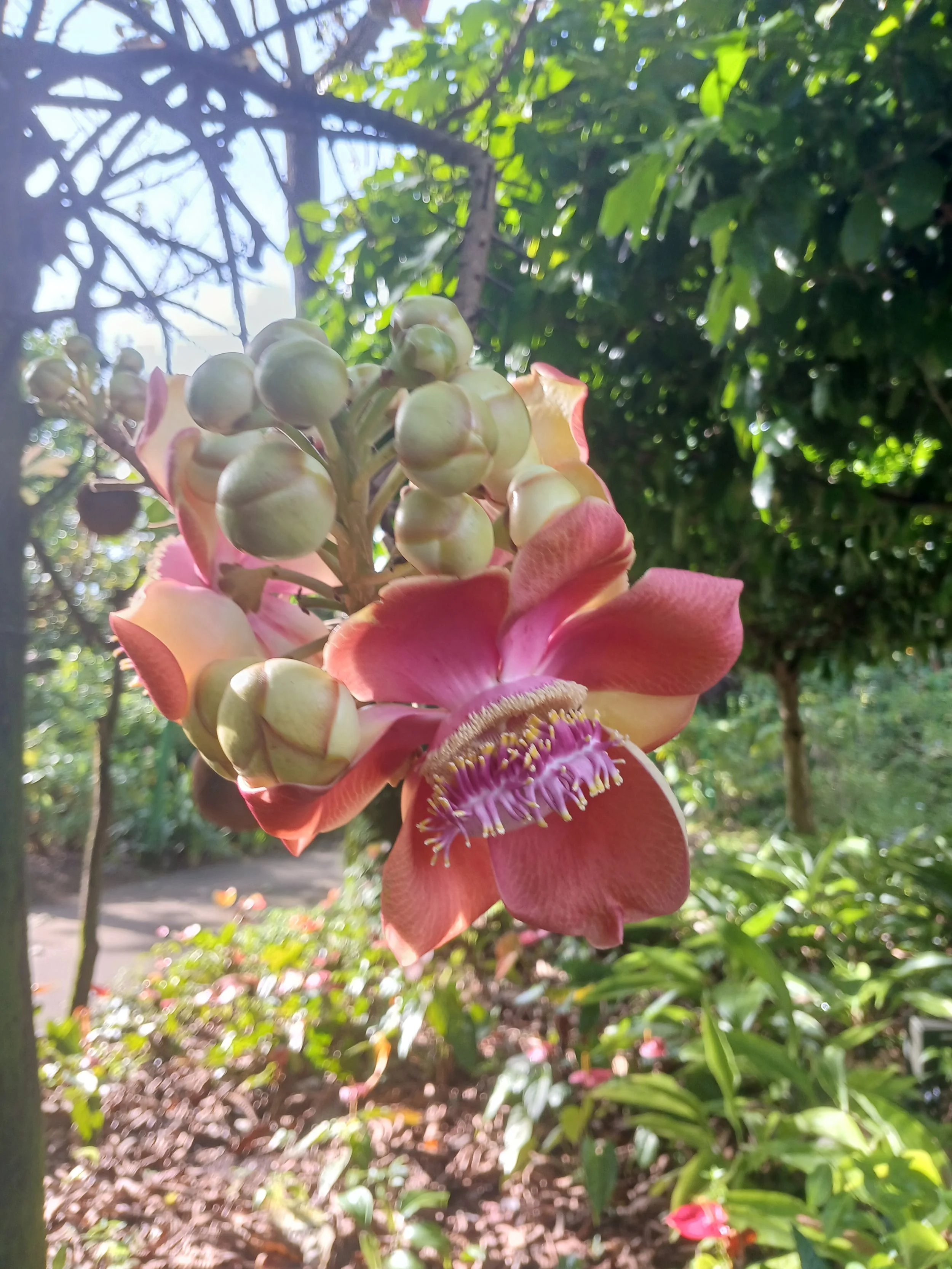 Flourishing Together: Workshop for Educators