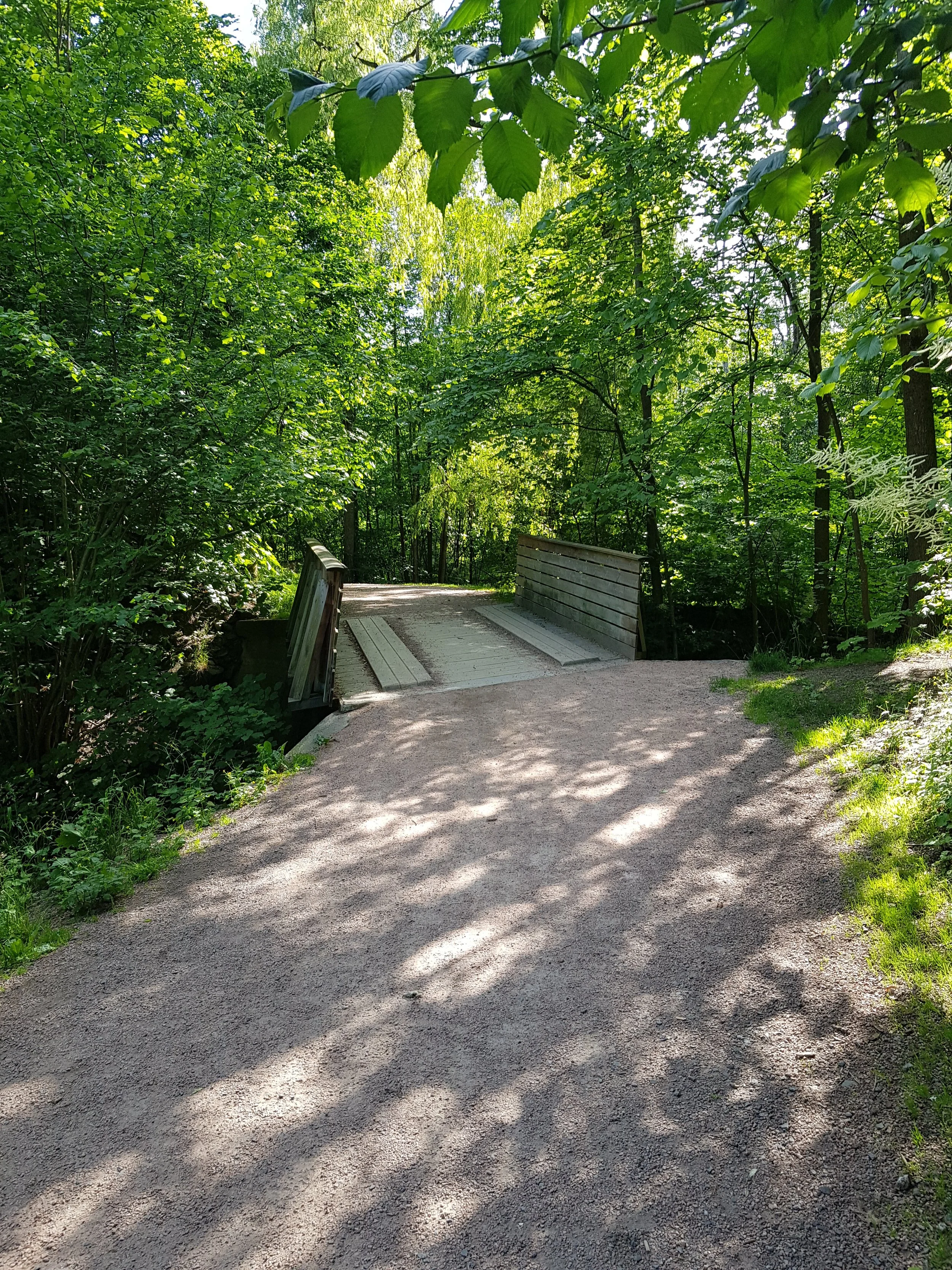 New Horizons: Workshop for Life's transitions