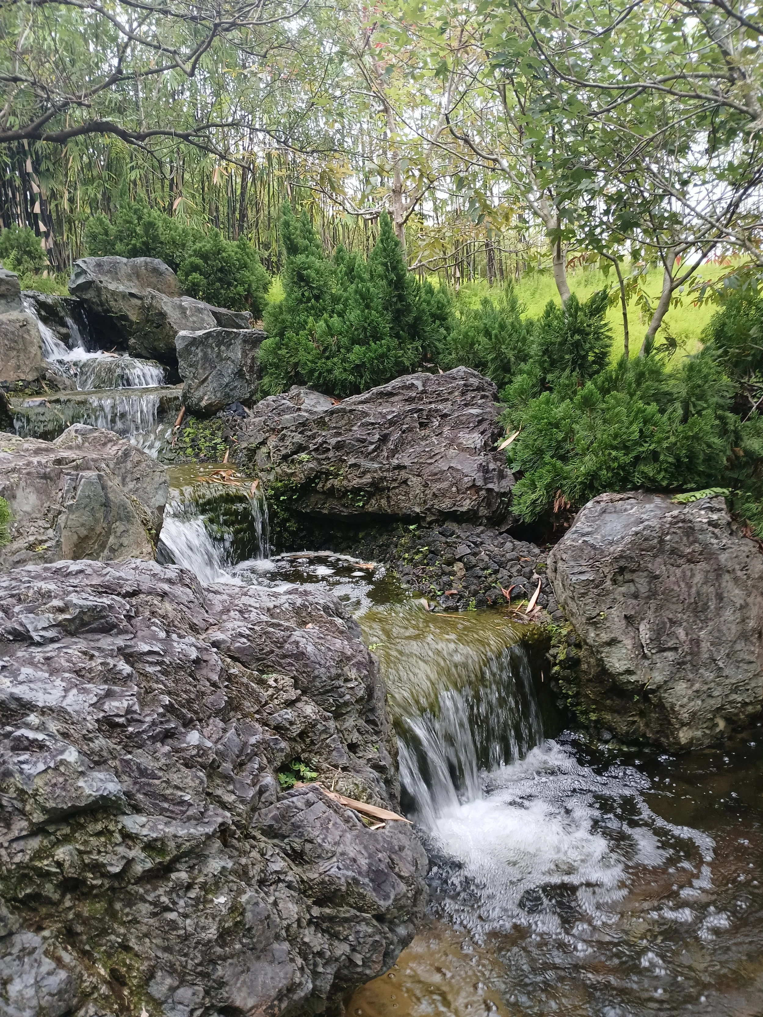 Drawing From The Well: Nurturing Student Wellbeing