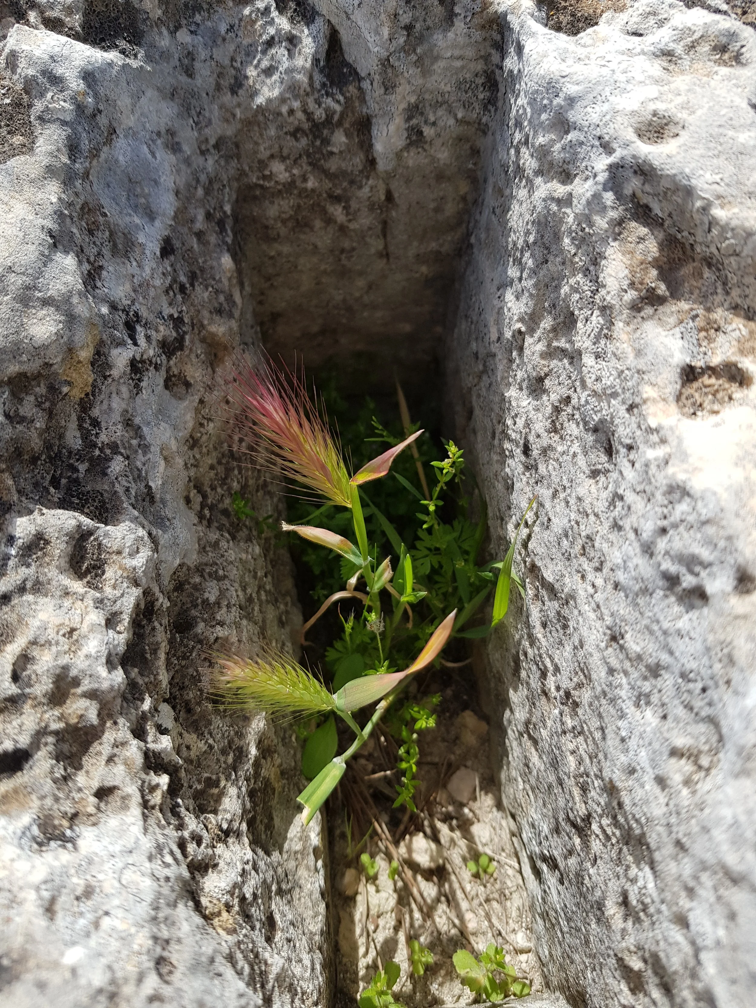 Resilience in action skills for high school life