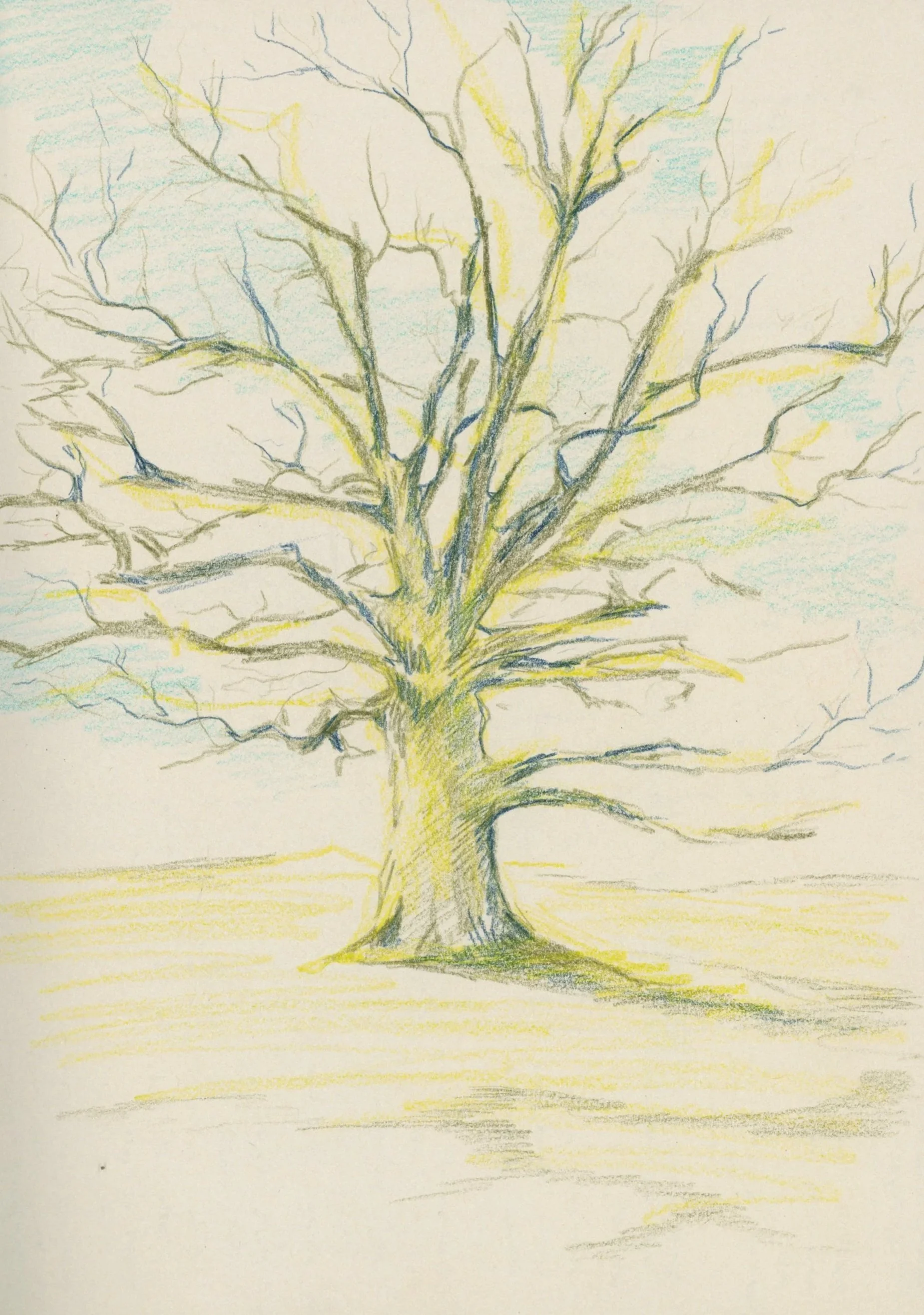 Alaina’s Tree