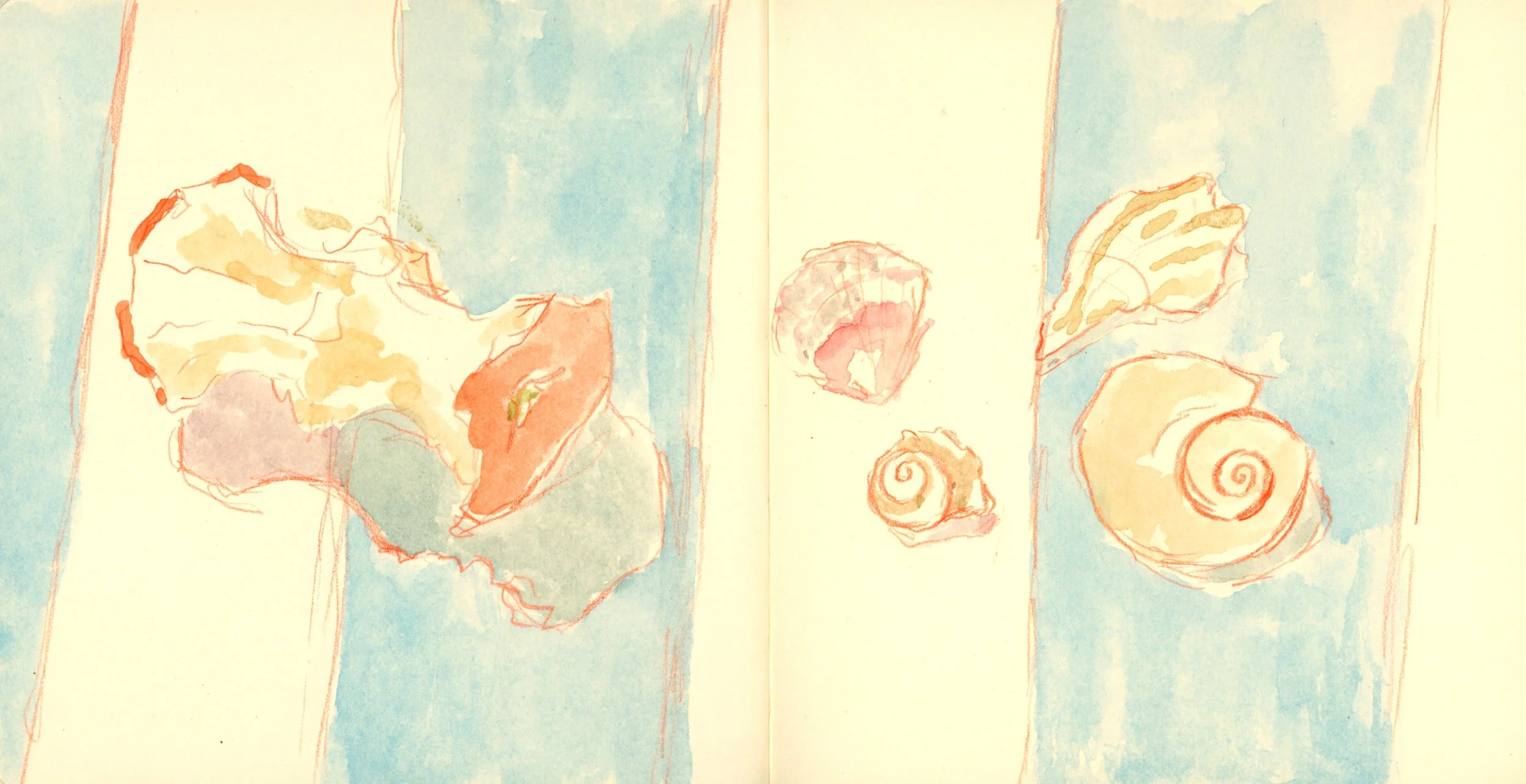 Beachside Still Life