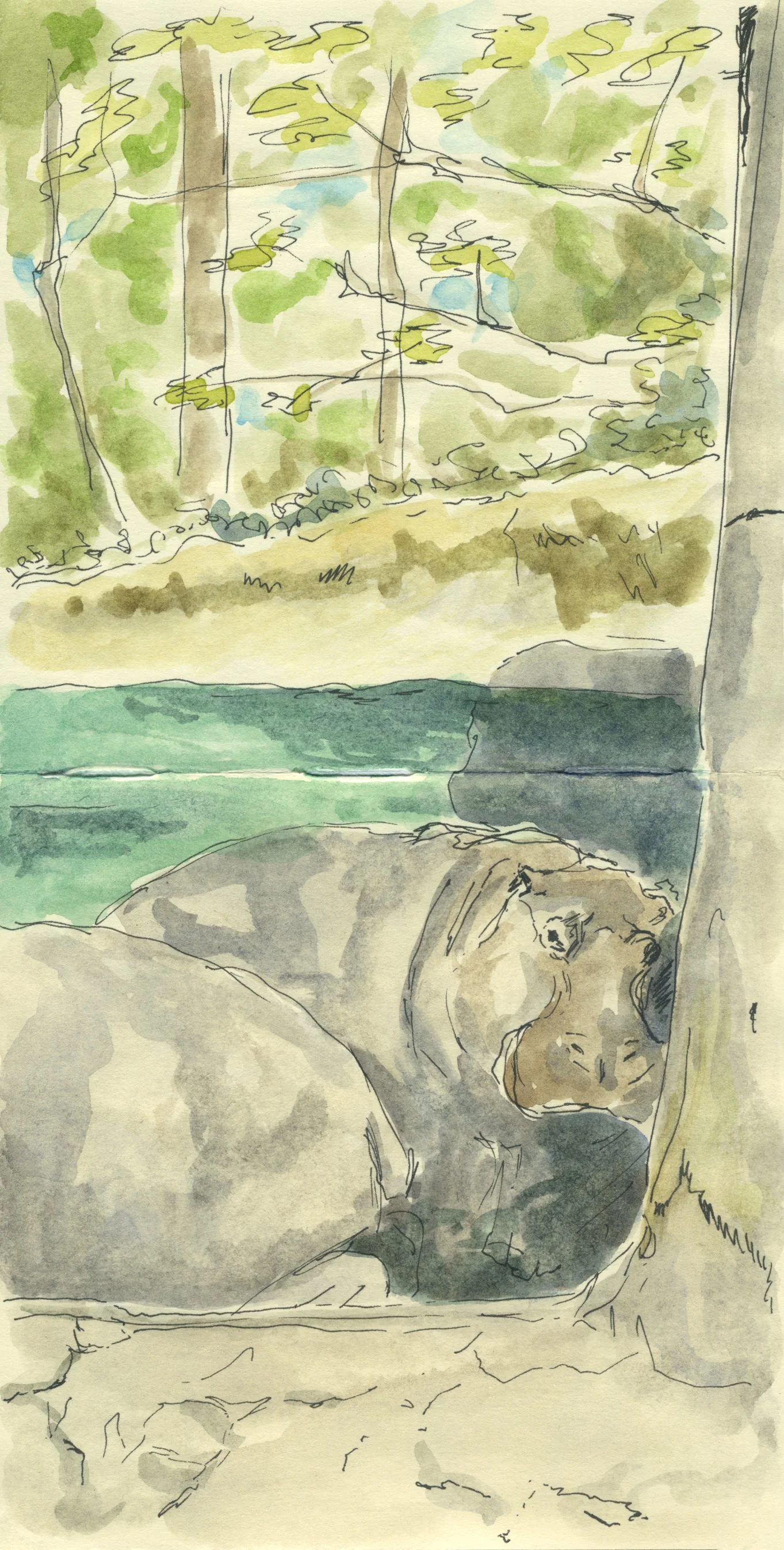 Hippo’s Home