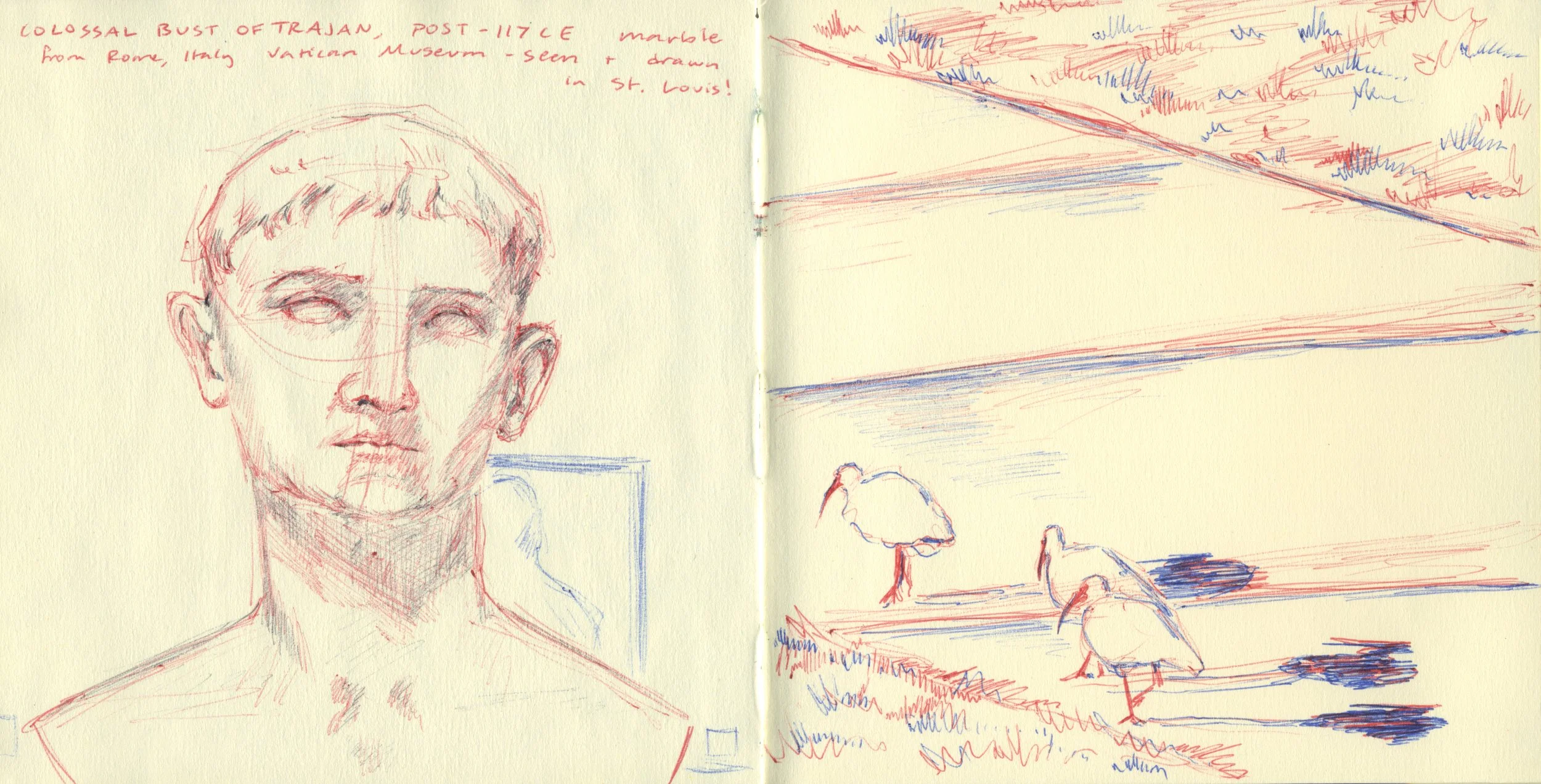 Ancient Rome + American White Ibis