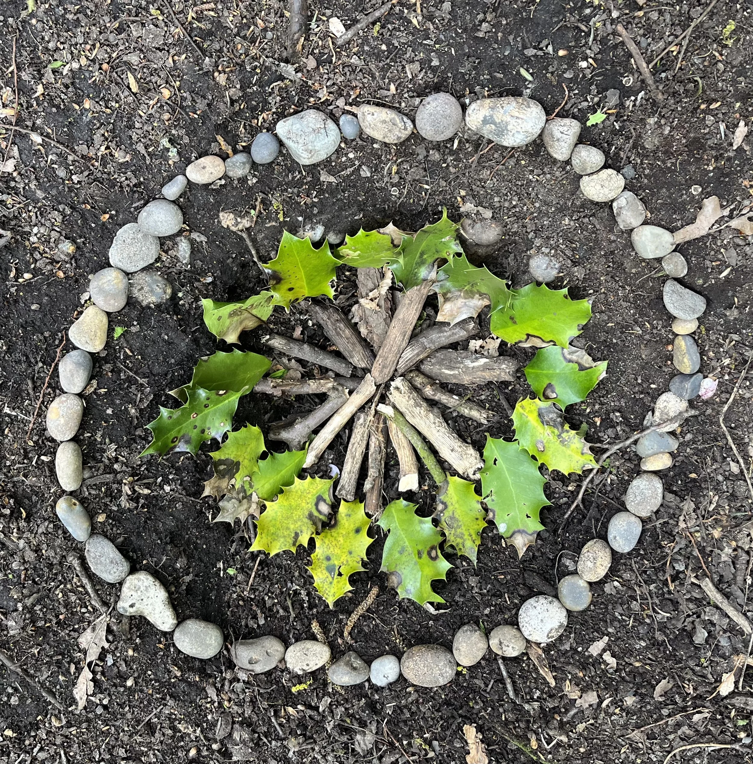 A circle of small and medium-sized gray and beige stones surrounds a small plant with holly leaves and small brown sticks arranged in a star-like pattern on dark soil.