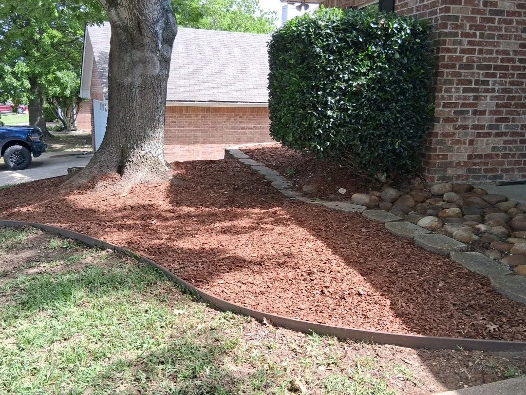 A landscaped yard with a large tree, a manicured bush, a brick wall, and a stone pathway. The ground is covered with red mulch.