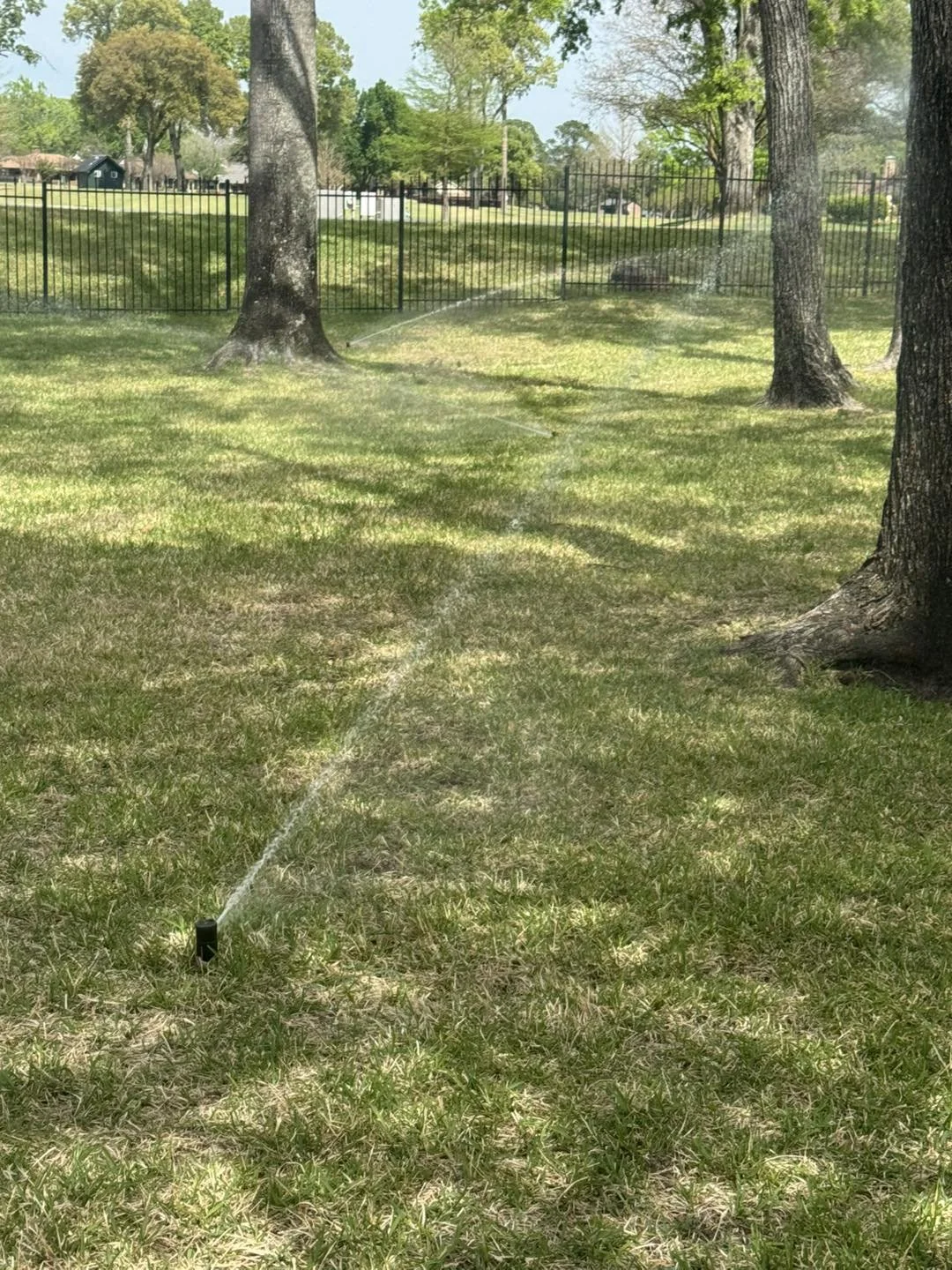 Irrigation system in a grassy park with a few trees.