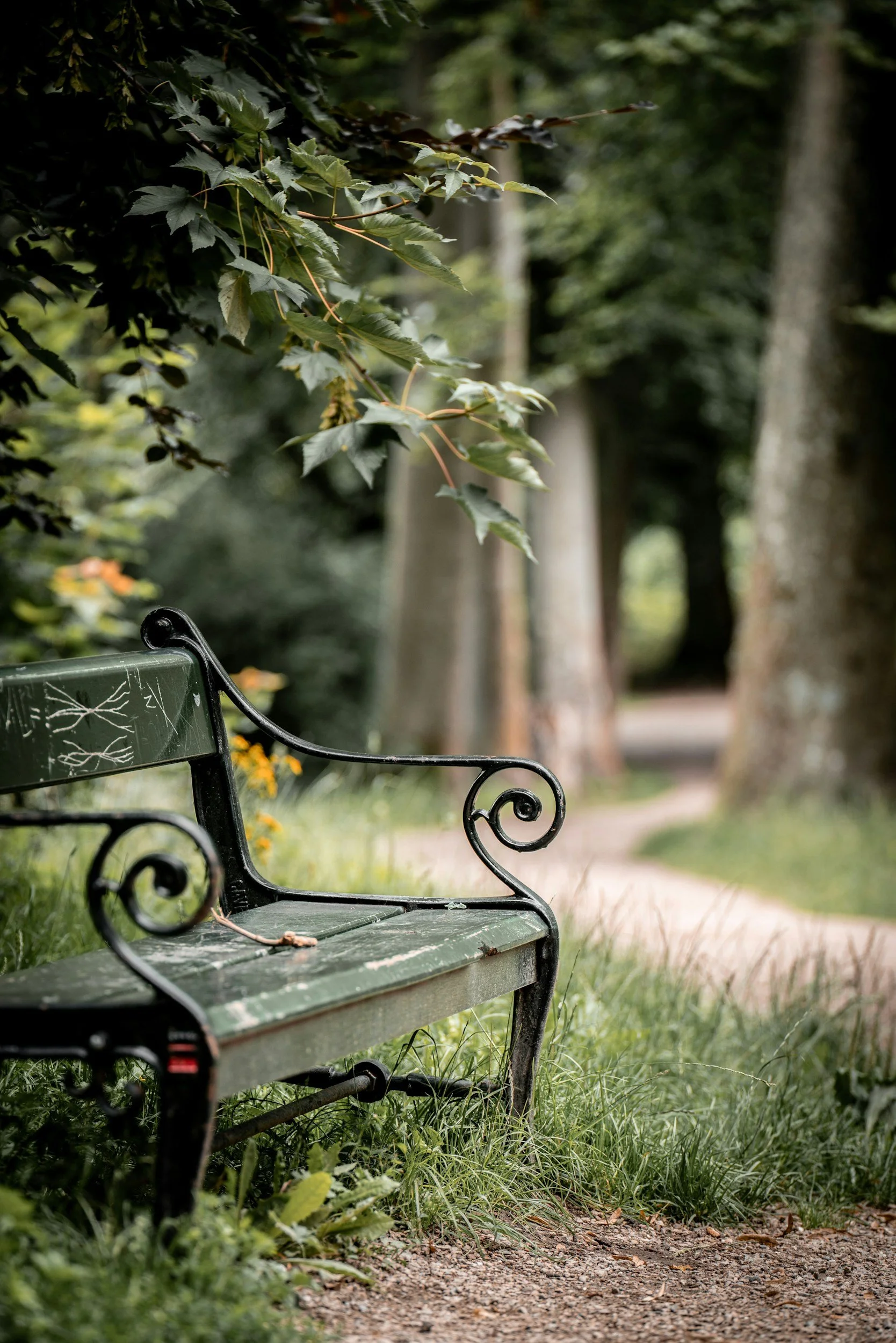 A green park bench with decorative black iron armrests and backrest, placed on grass next to a meandering pathway in a wooded area.