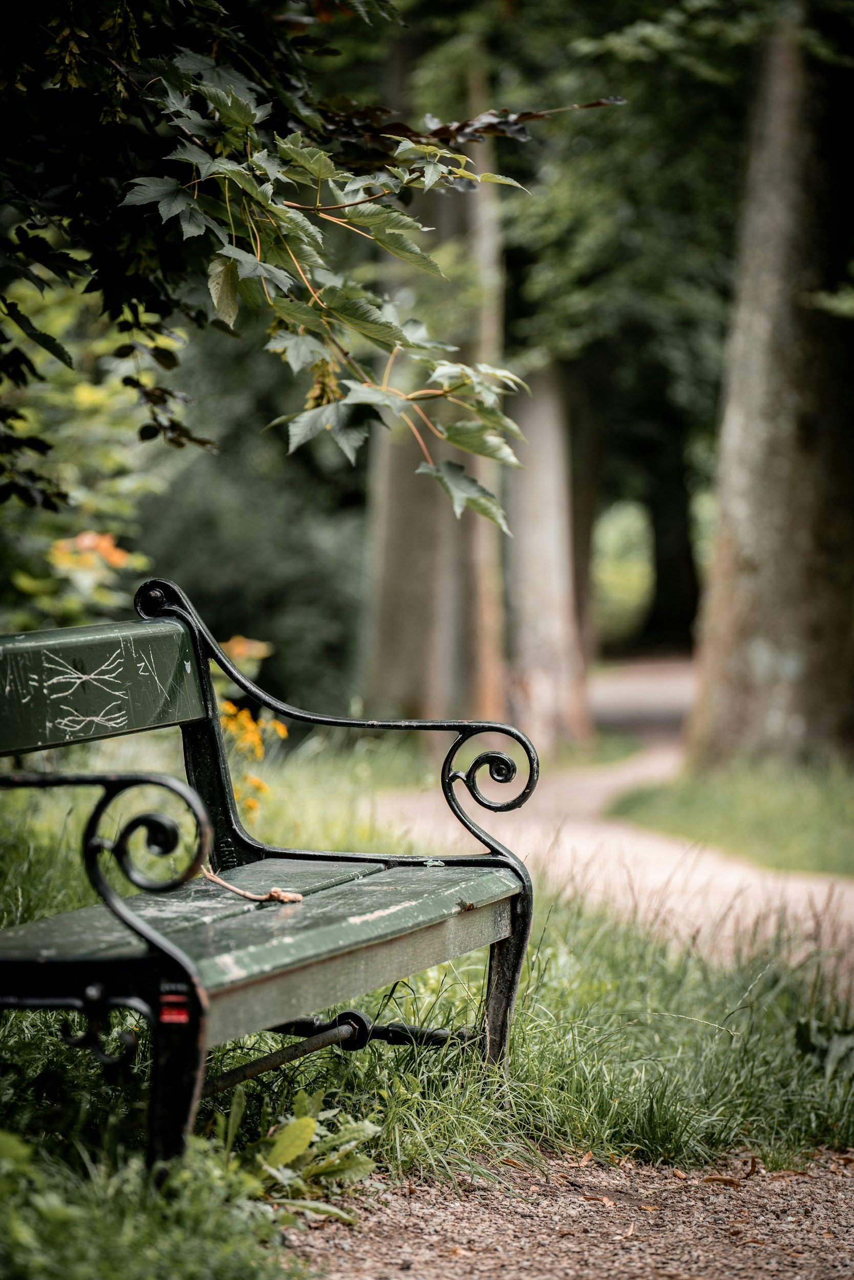 Green park bench with black metal armrests and backrest, surrounded by grass, with trees and a winding path in the background.