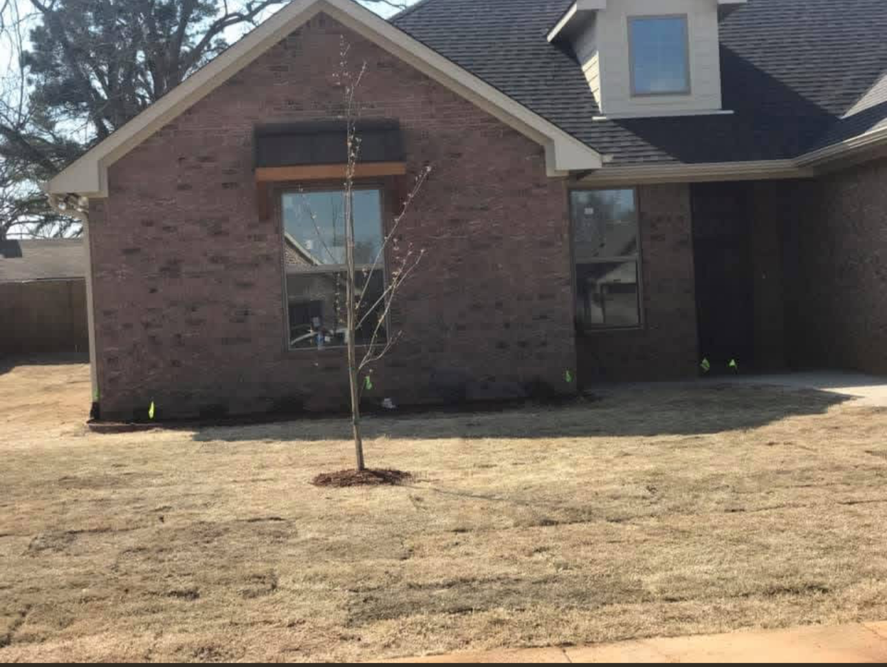 Fresh landscape install on a house's yard.