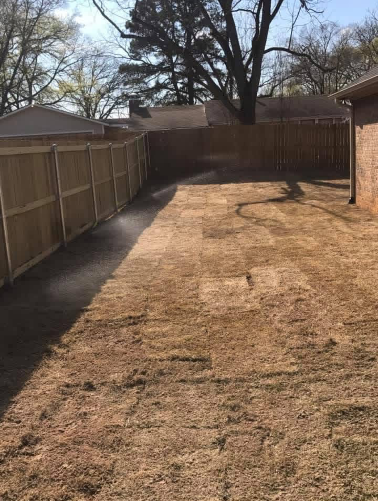 New landscape install in a backyard.
