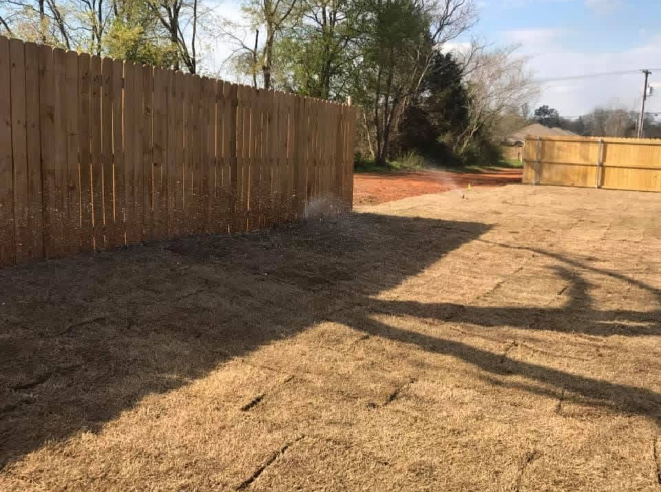 New irrigation install & landscape install in the backyard of a house.