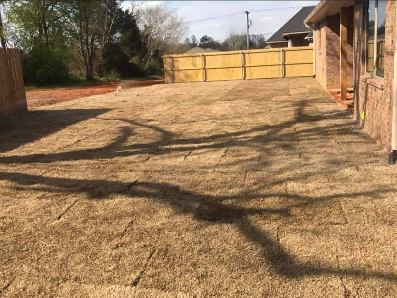 New irrigation install & landscape install in the fenced-in backyard of a house.