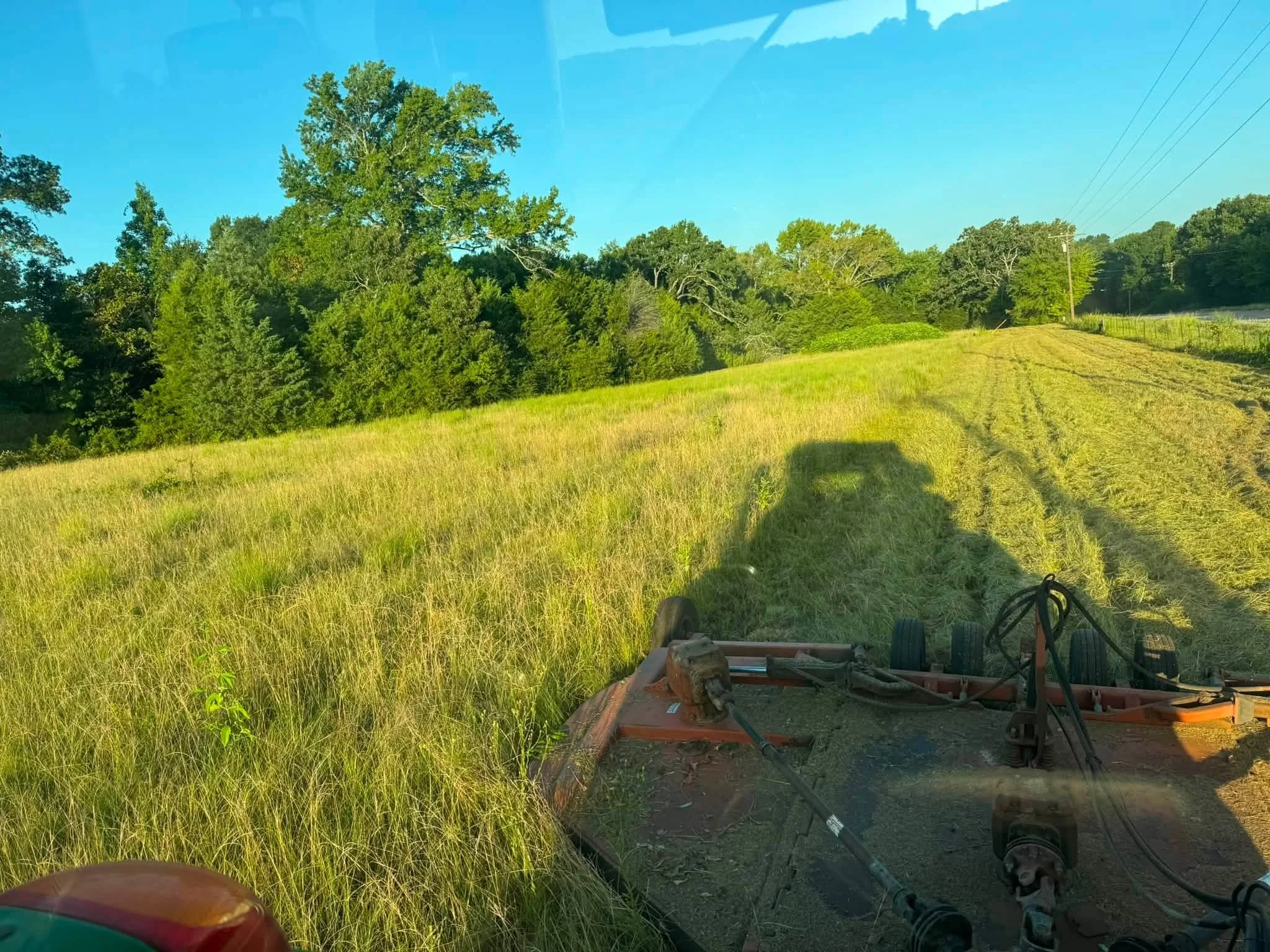 5h-services-grass-2.jpg
