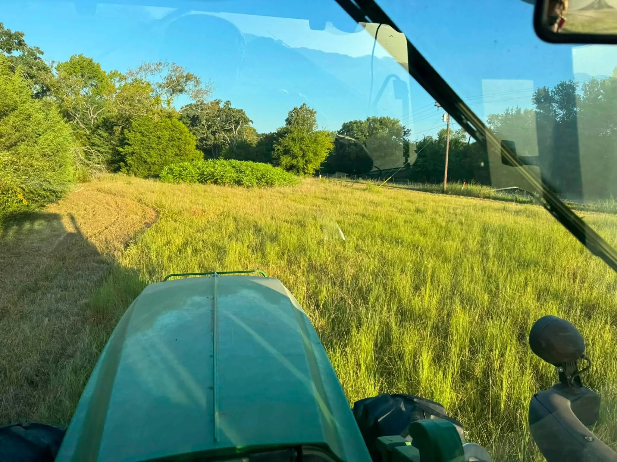 5h-services-grass.jpg
